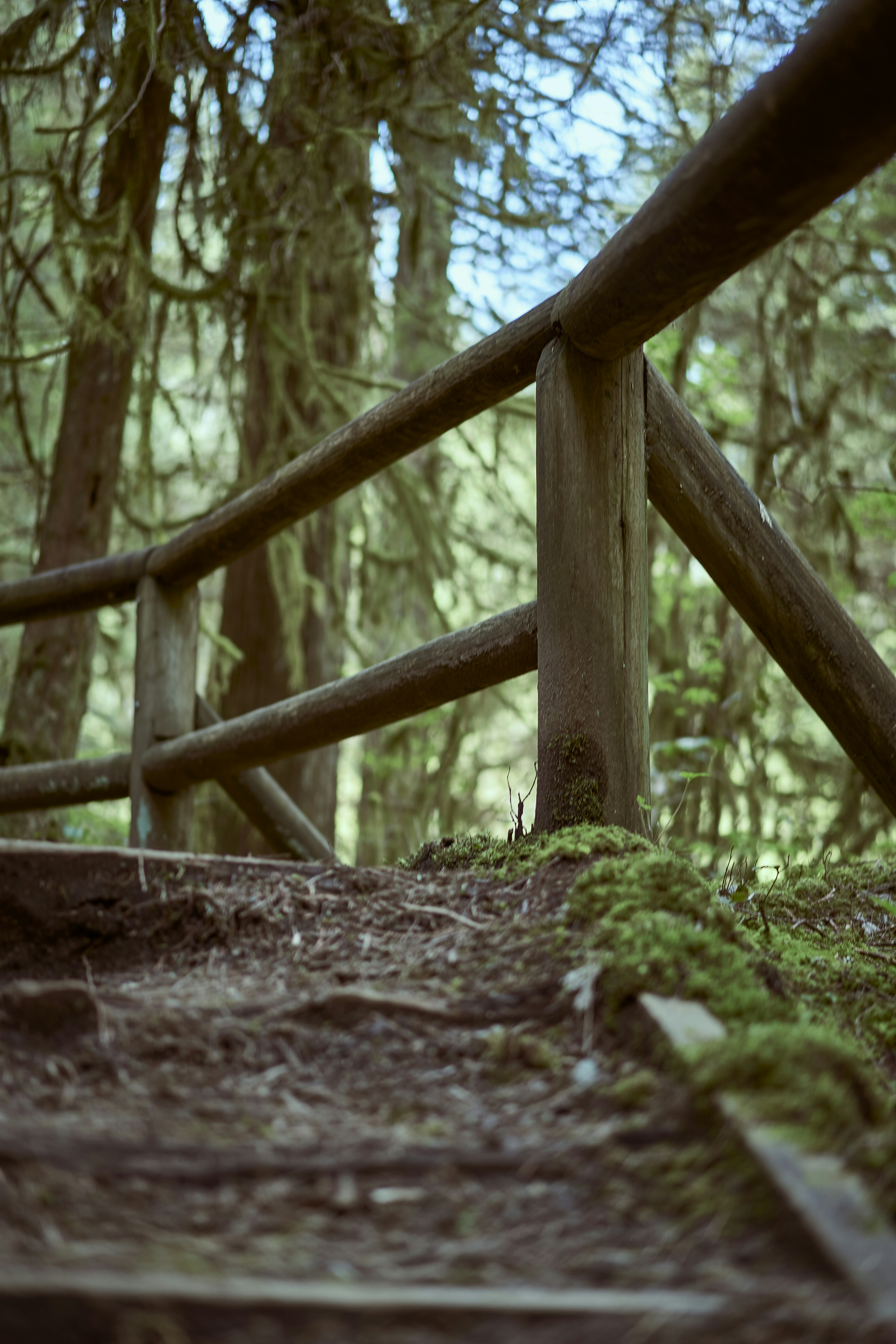 a wooden bridge in the woods