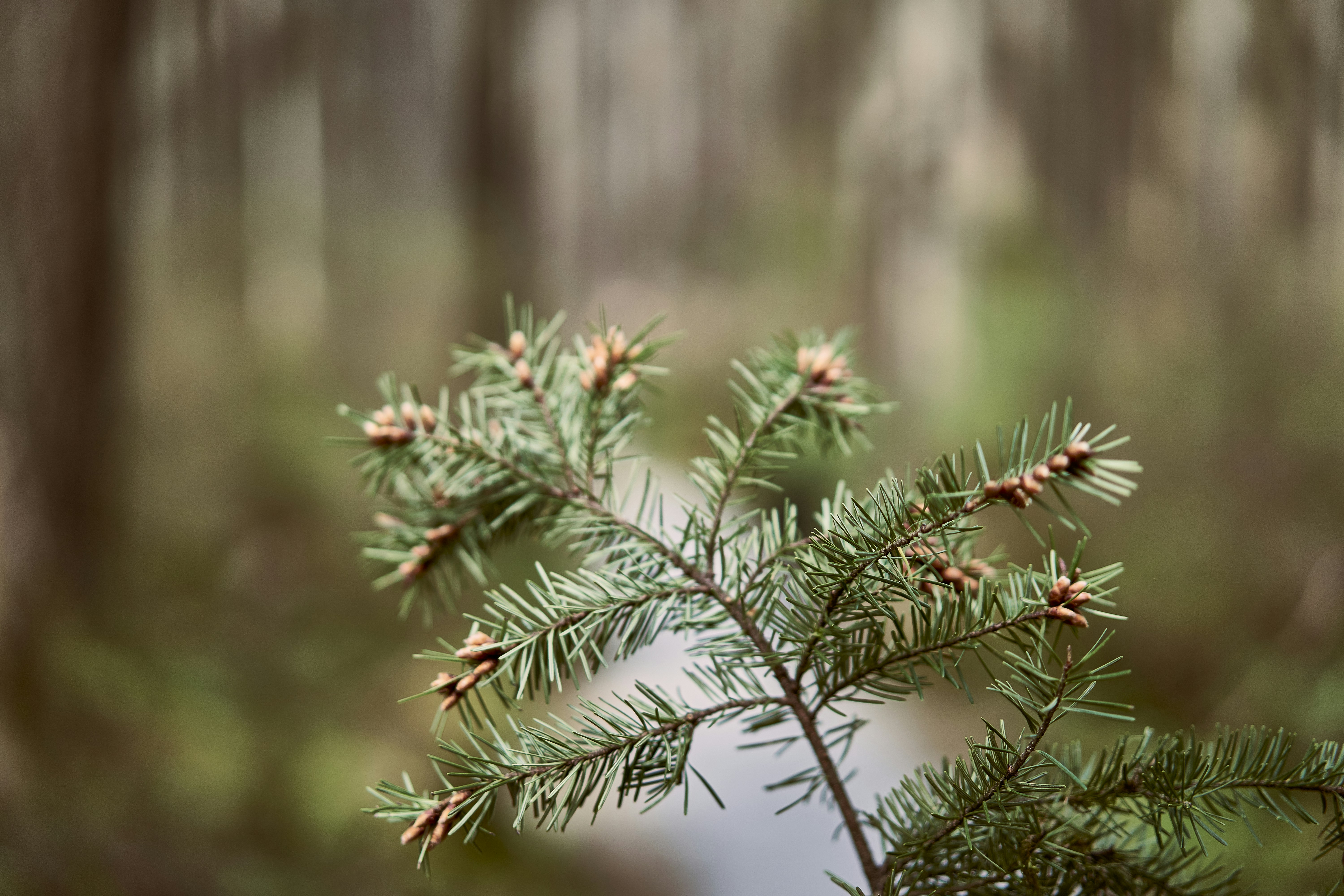 Photo by suicide_chewbacca