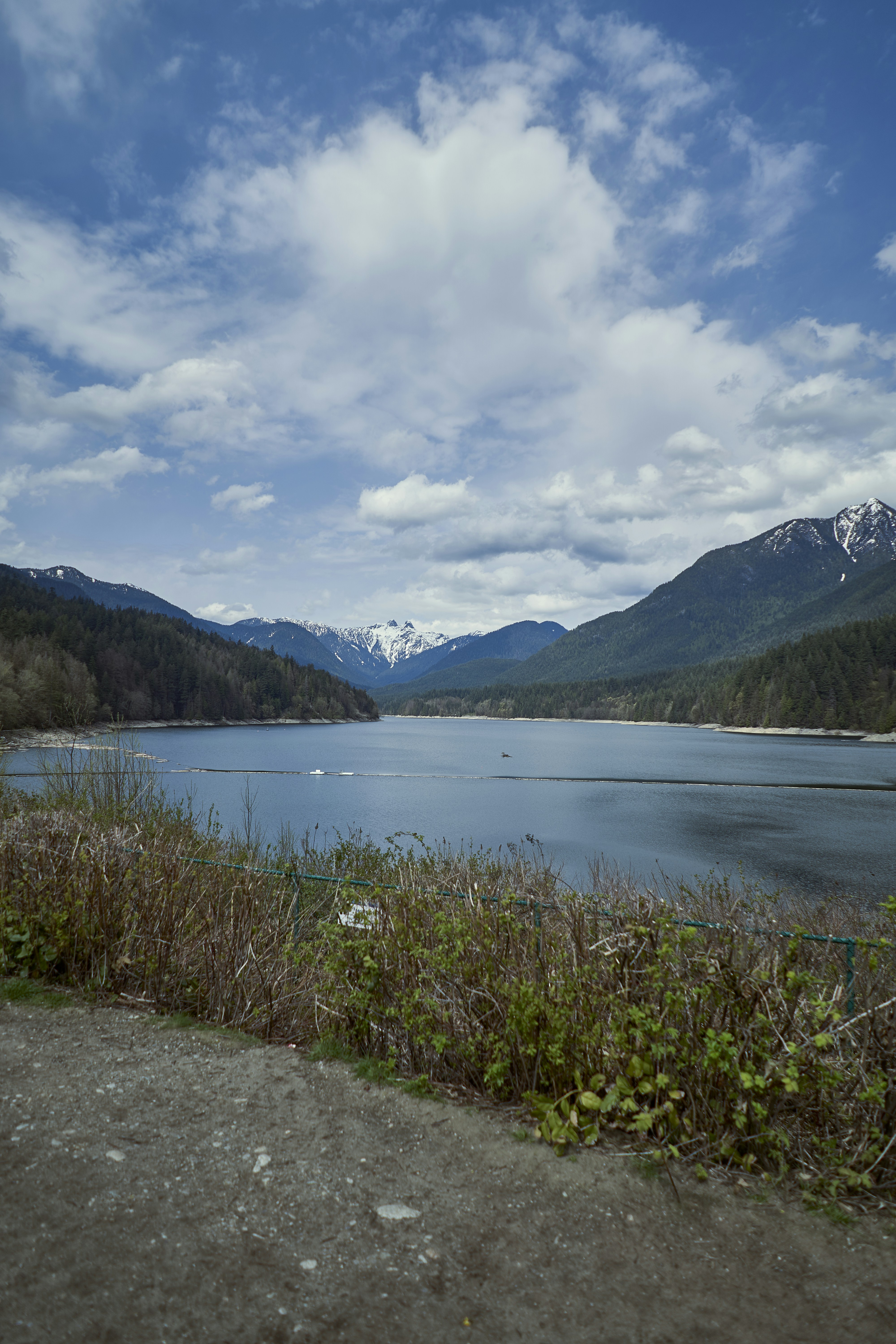 Photo by suicide_chewbacca