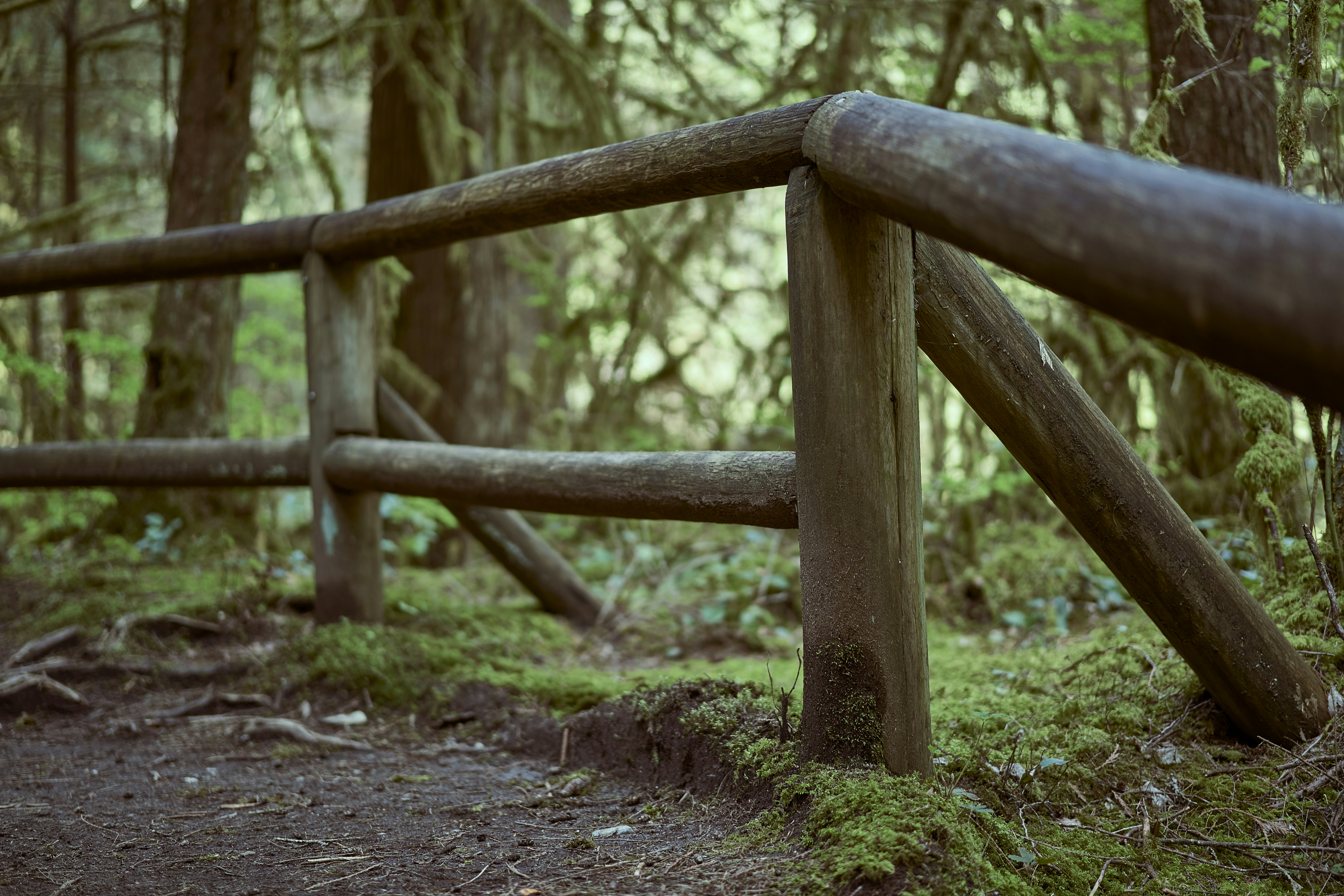 a wooden fence in a wooded area