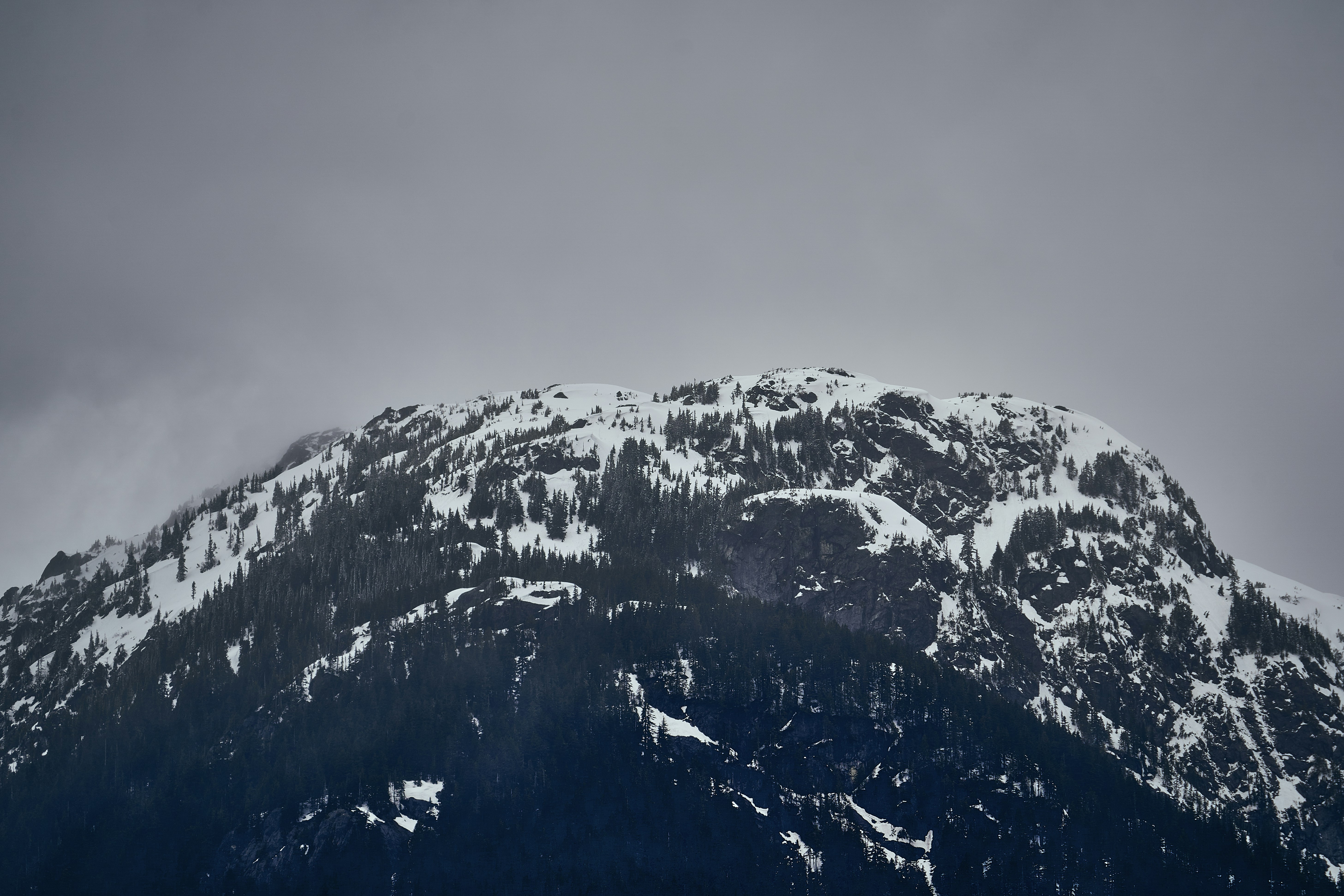 Photo by suicide_chewbacca