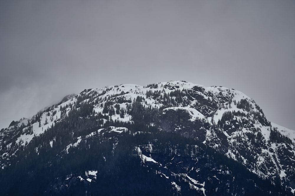 a snowy mountain with trees