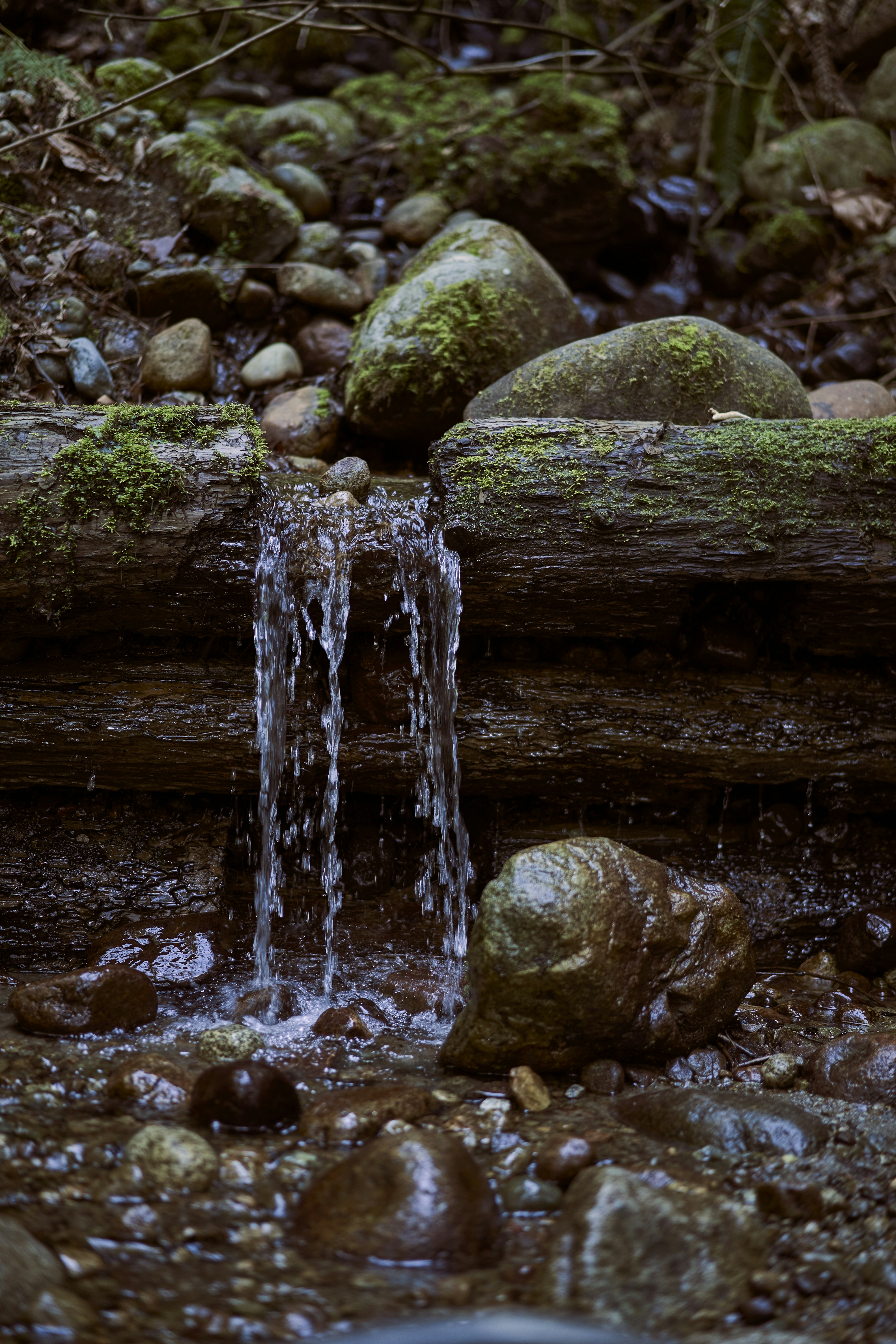 Photo by suicide_chewbacca