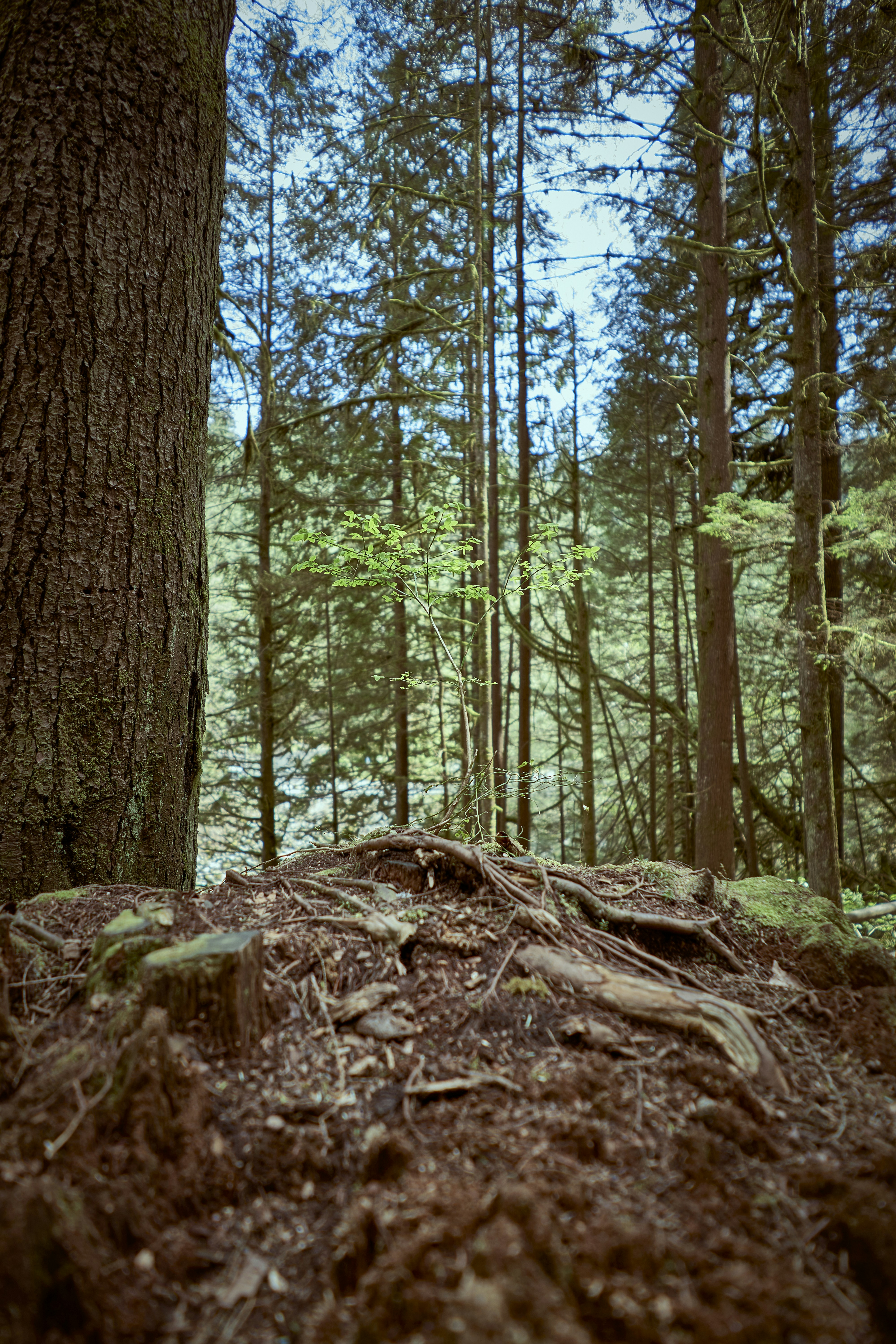 Photo by suicide_chewbacca