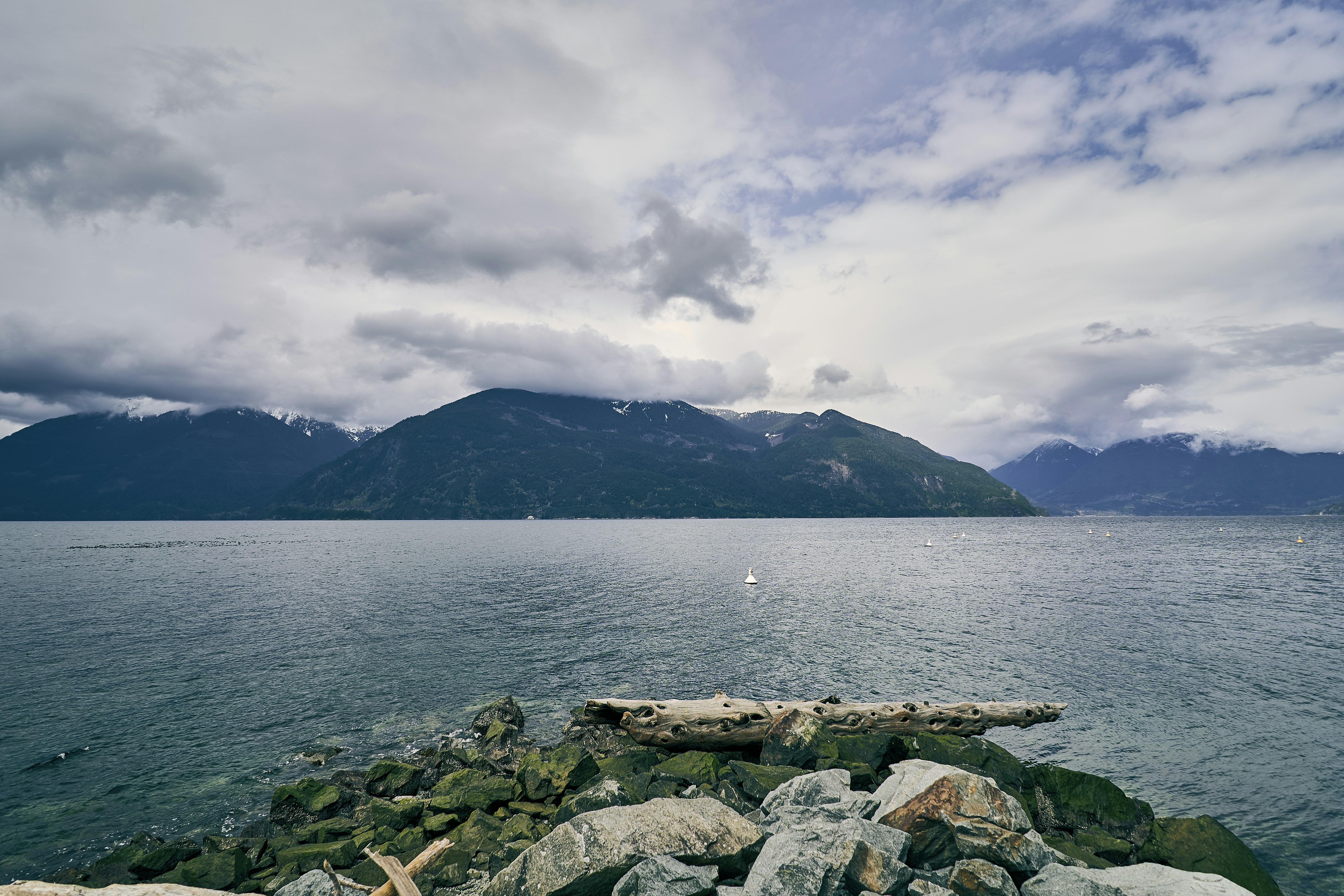 Photo by suicide_chewbacca