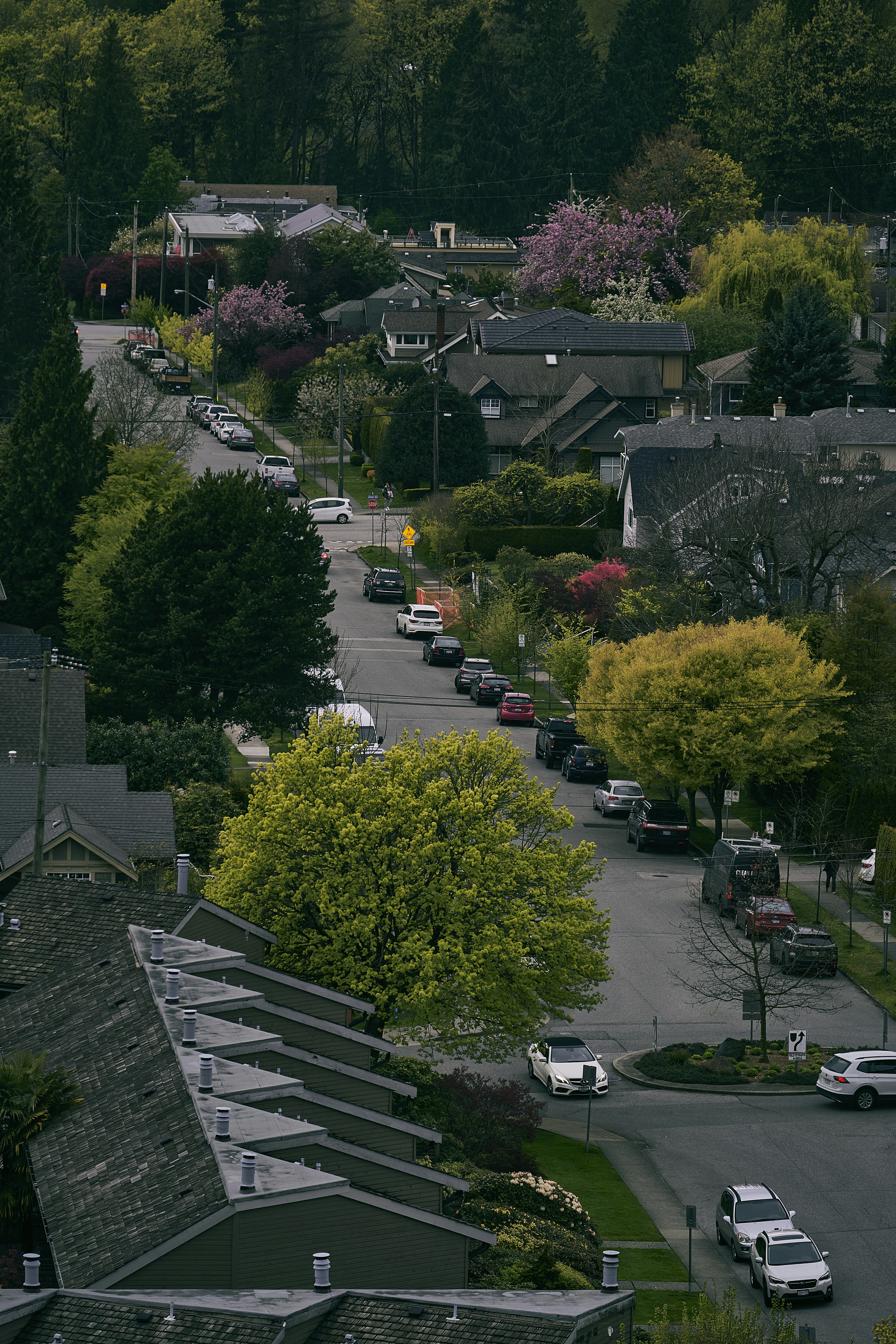 Photo by suicide_chewbacca