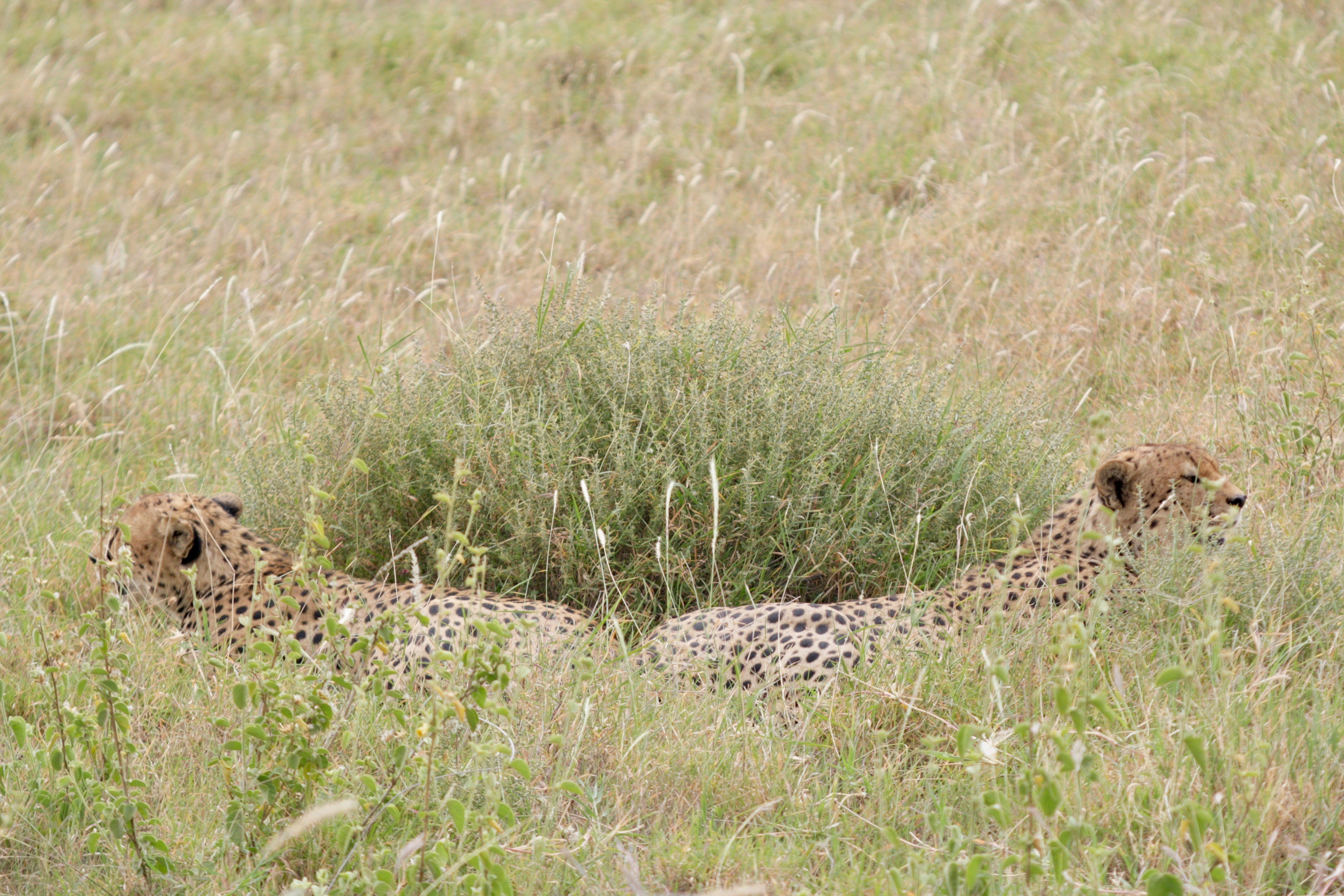 Photo by edenculture