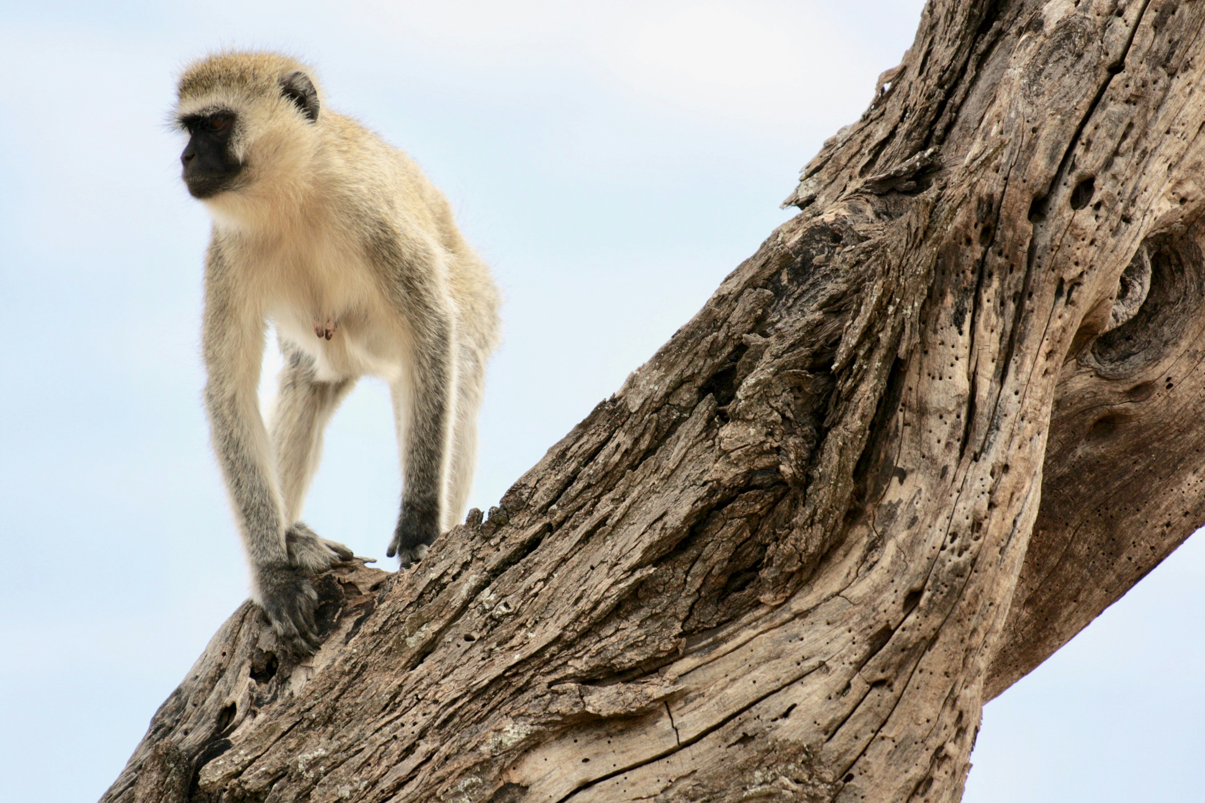 Photo by edenculture