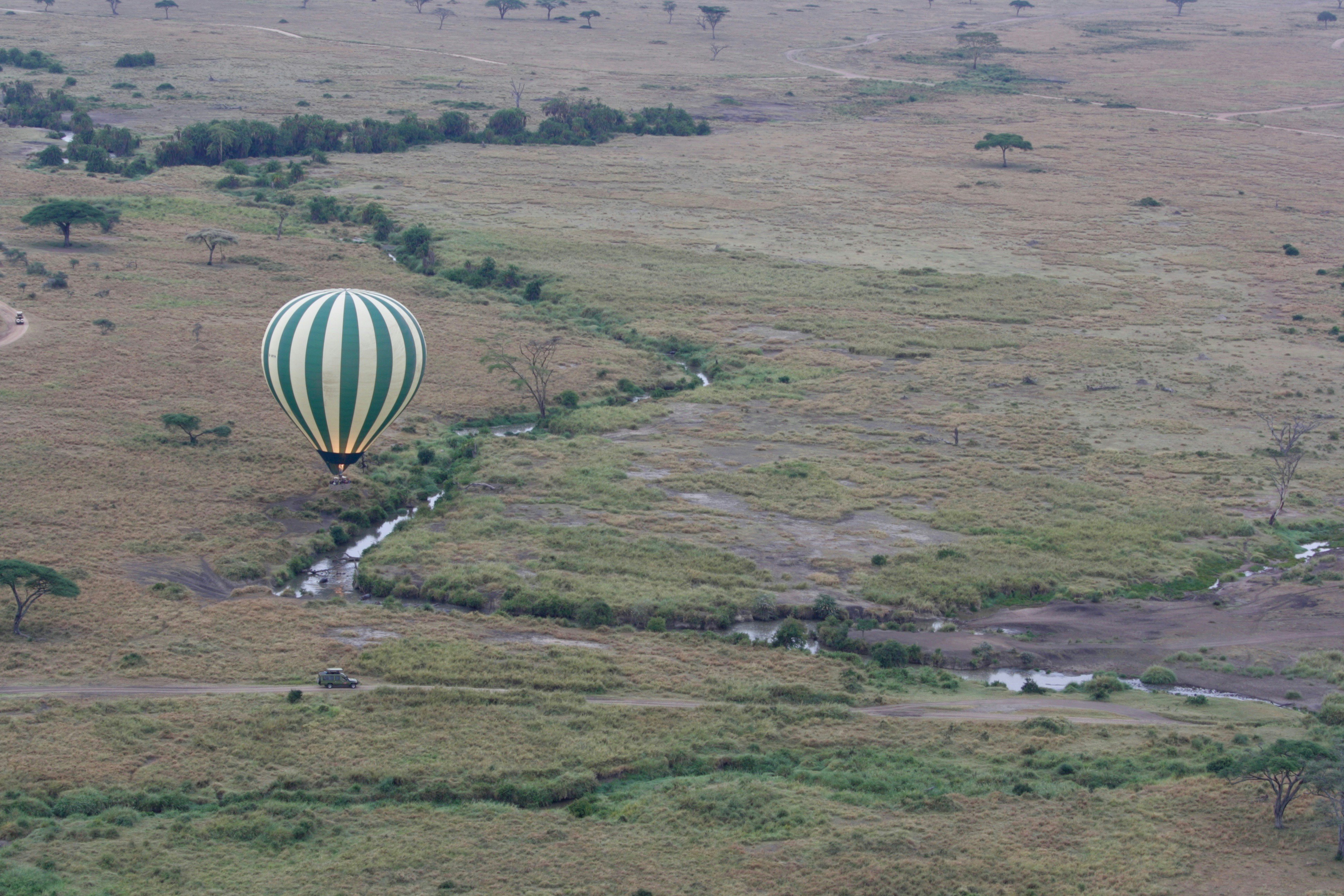 Budget Travel Guide to Mlimba (2026)