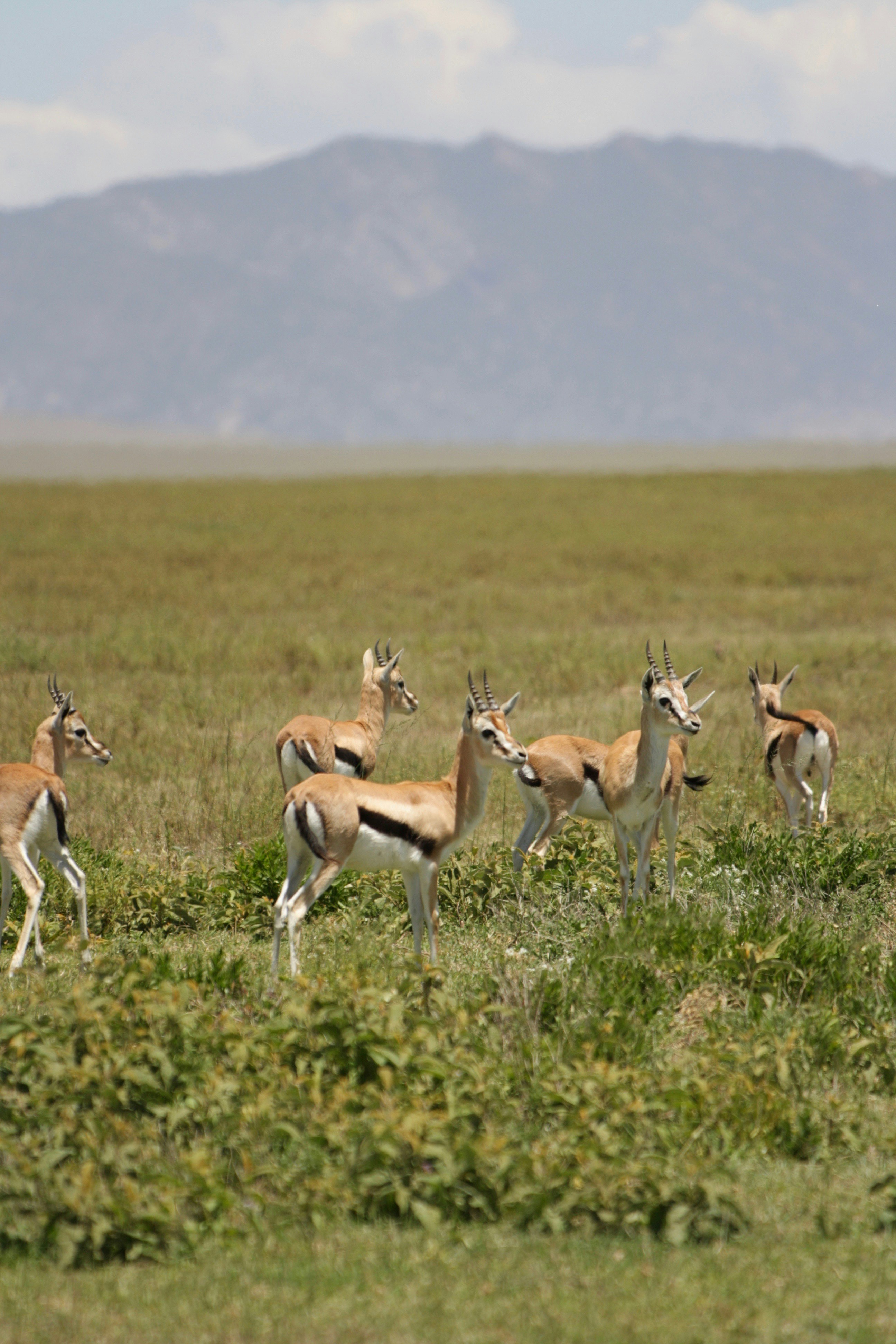 Photo by edenculture