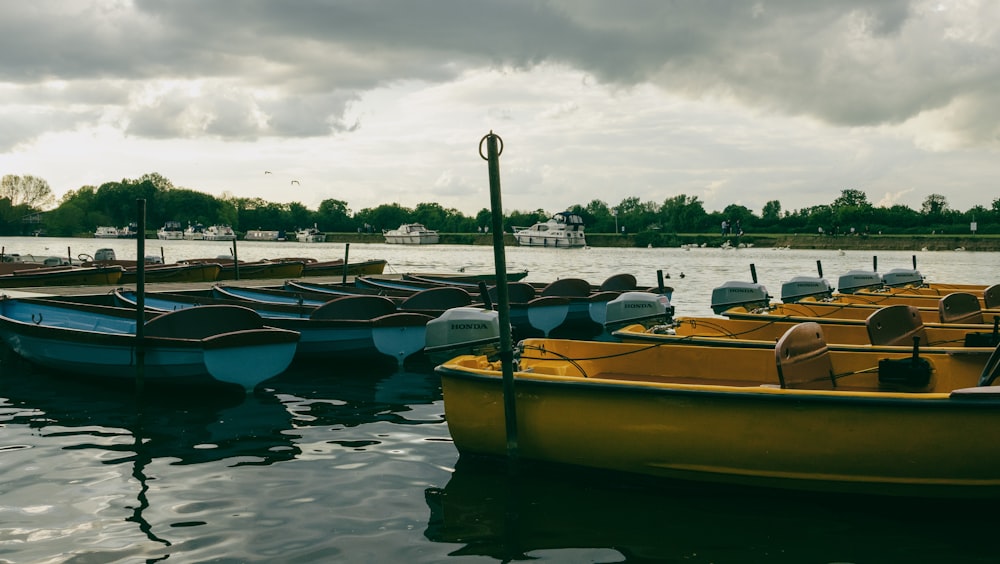 a group of boats in a harbor