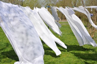 White sheets are flowing in the breeze as they hang on a clothesline outdoors. The setting is a grassy area with some trees in the background. The sheets appear to be freshly laundered and the scene is illuminated by sunlight.