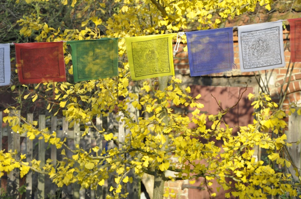 a group of books on a tree