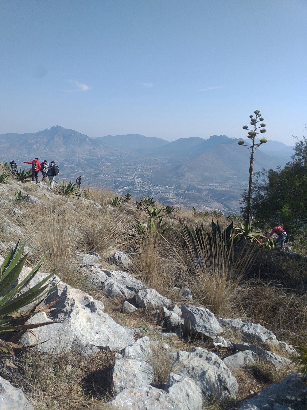 a group of people hiking