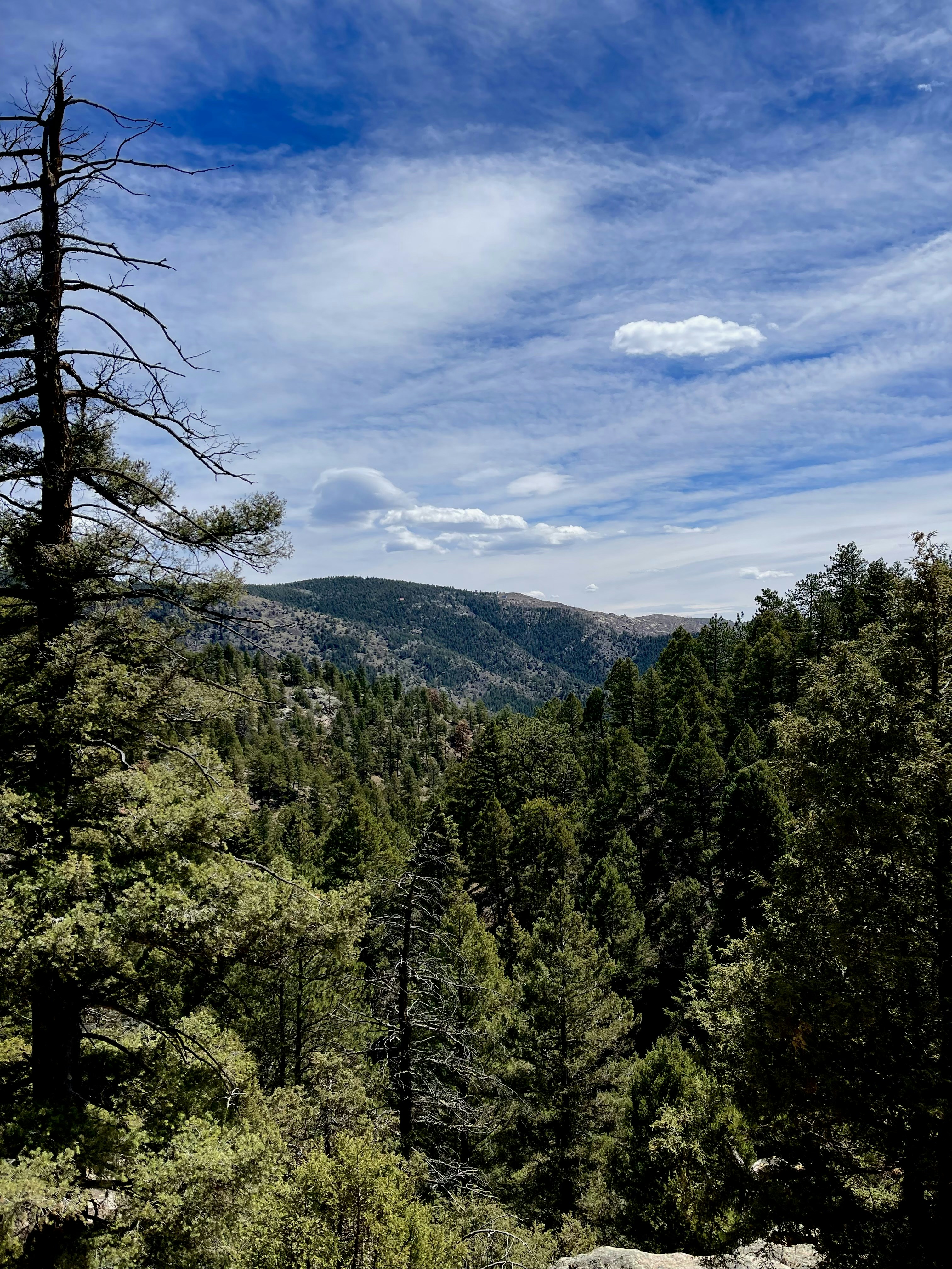 Photo by laitonbarbo