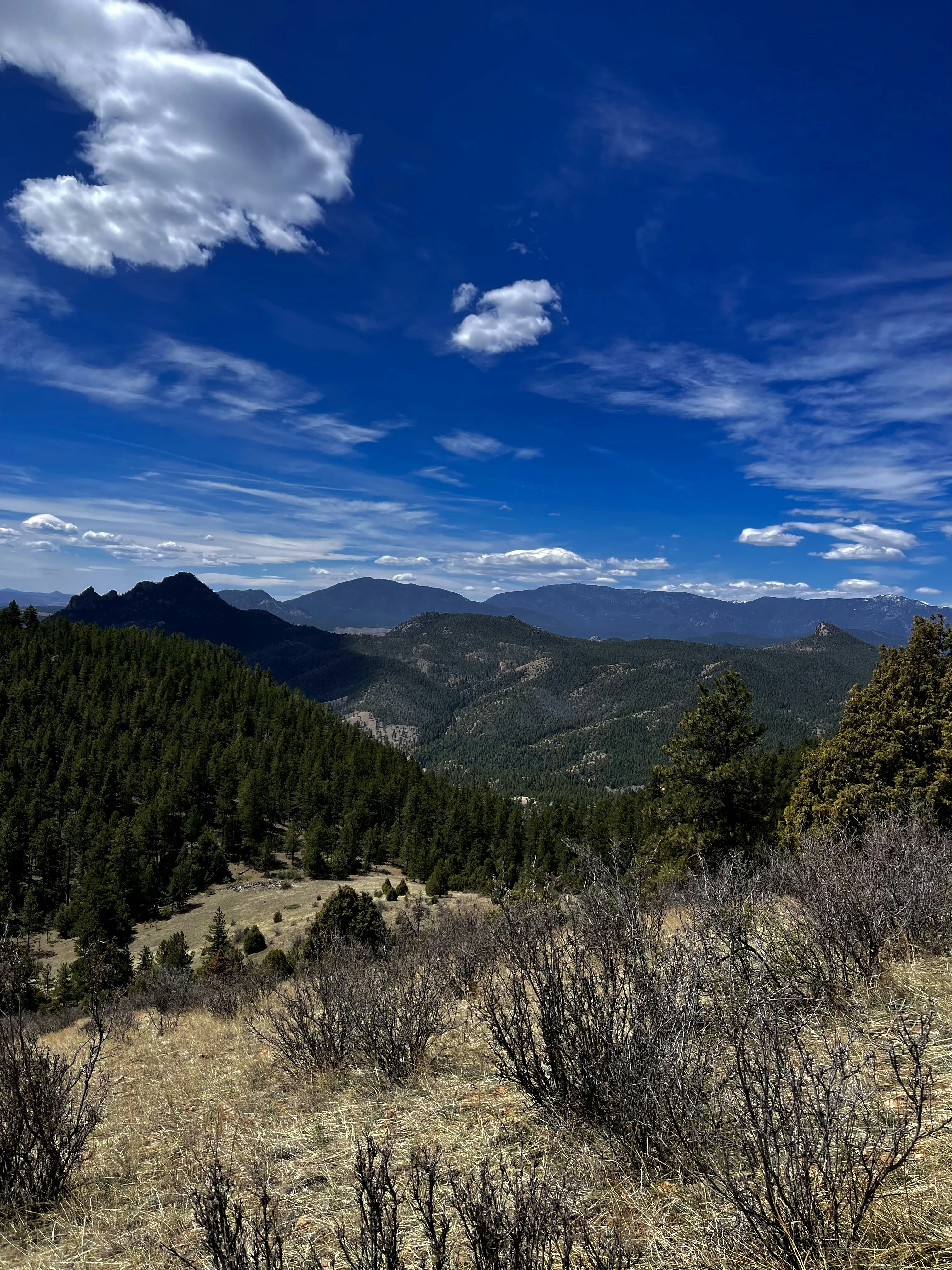 Photo by laitonbarbo