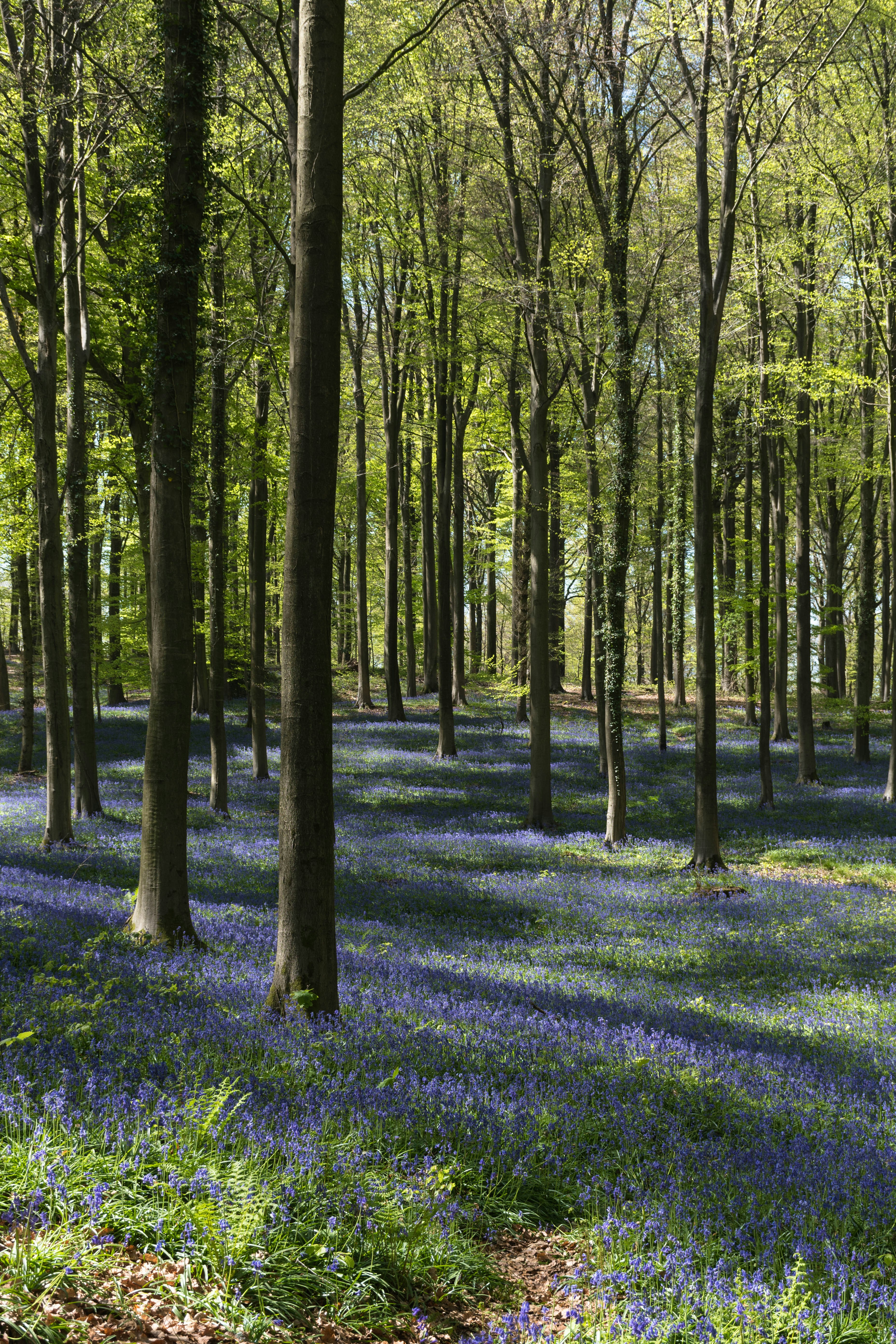 Photo by dmadventure