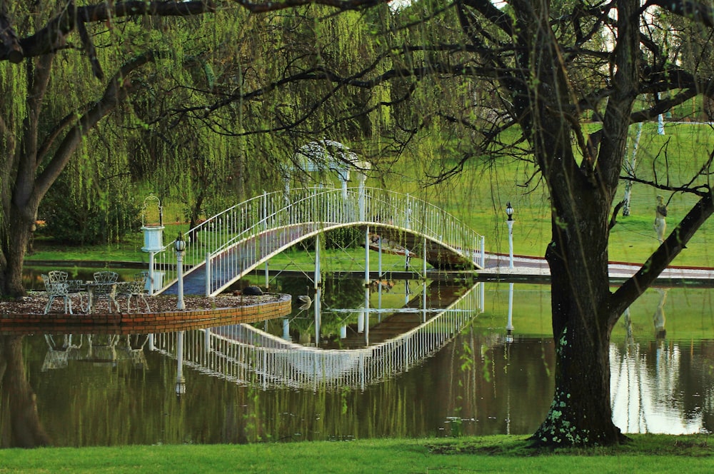 a bridge over a body of water