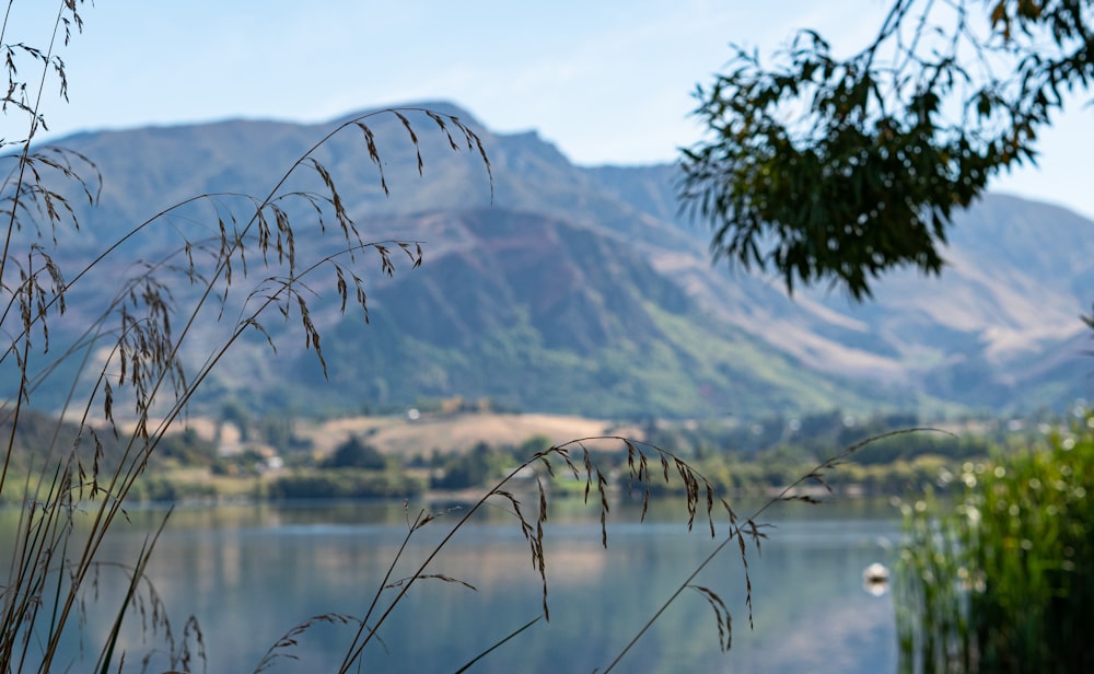 a lake with mountains in the background