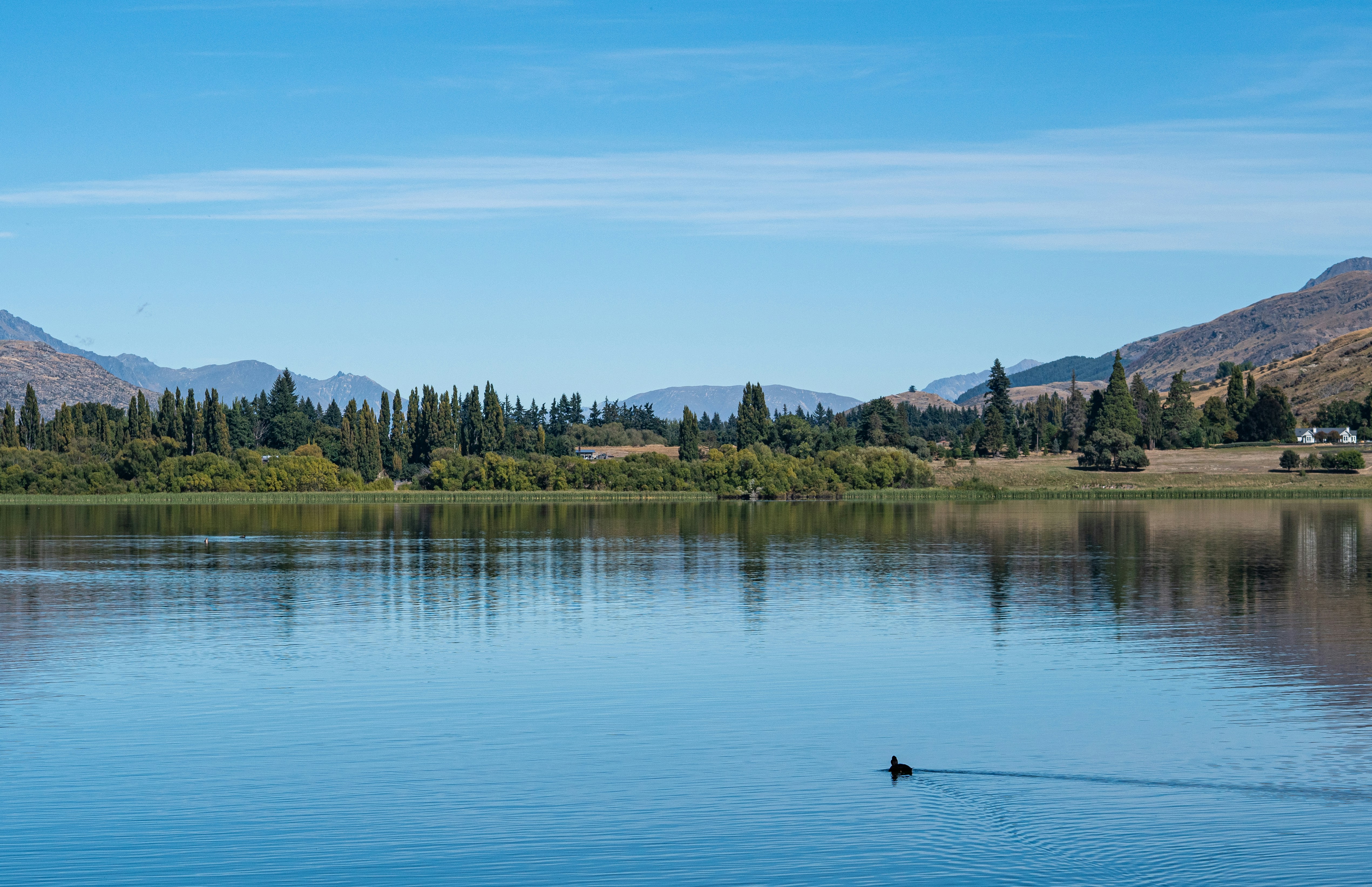 Un lago con árboles y montañas al fondo