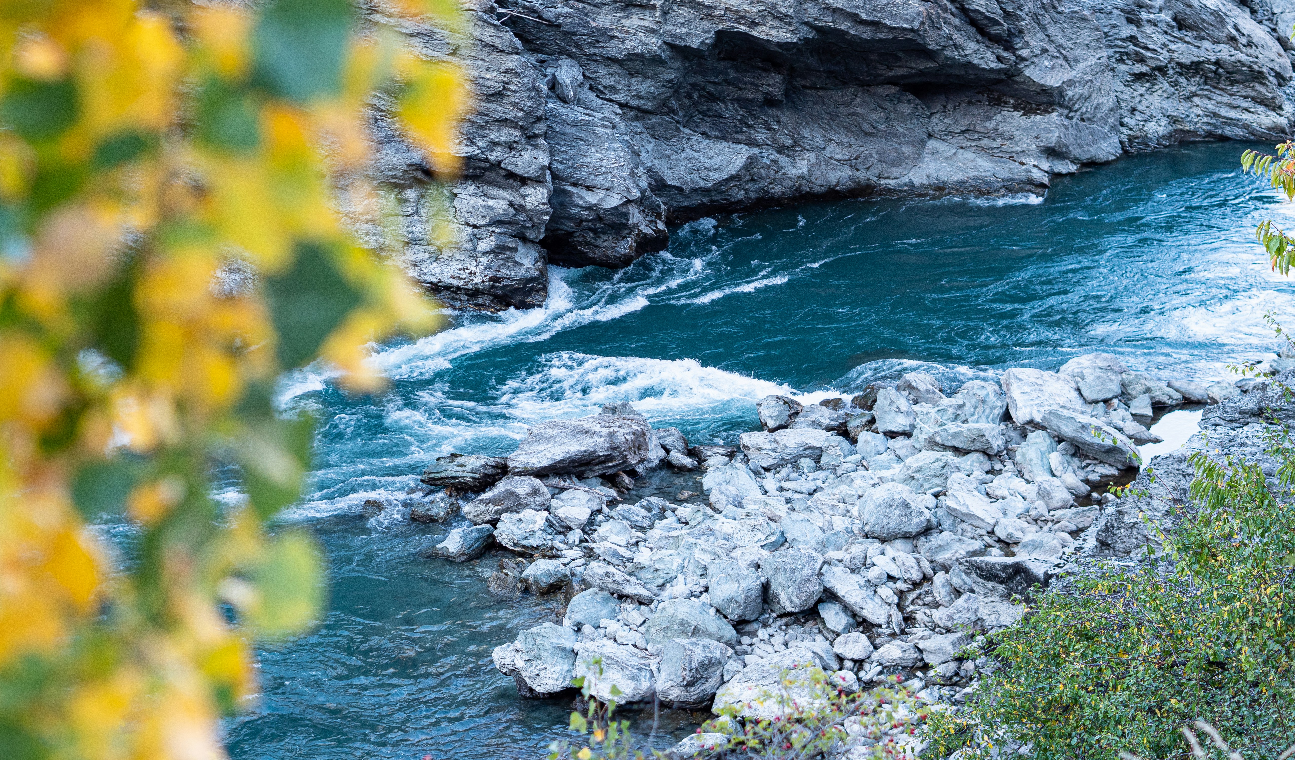 a river with rocks and plants