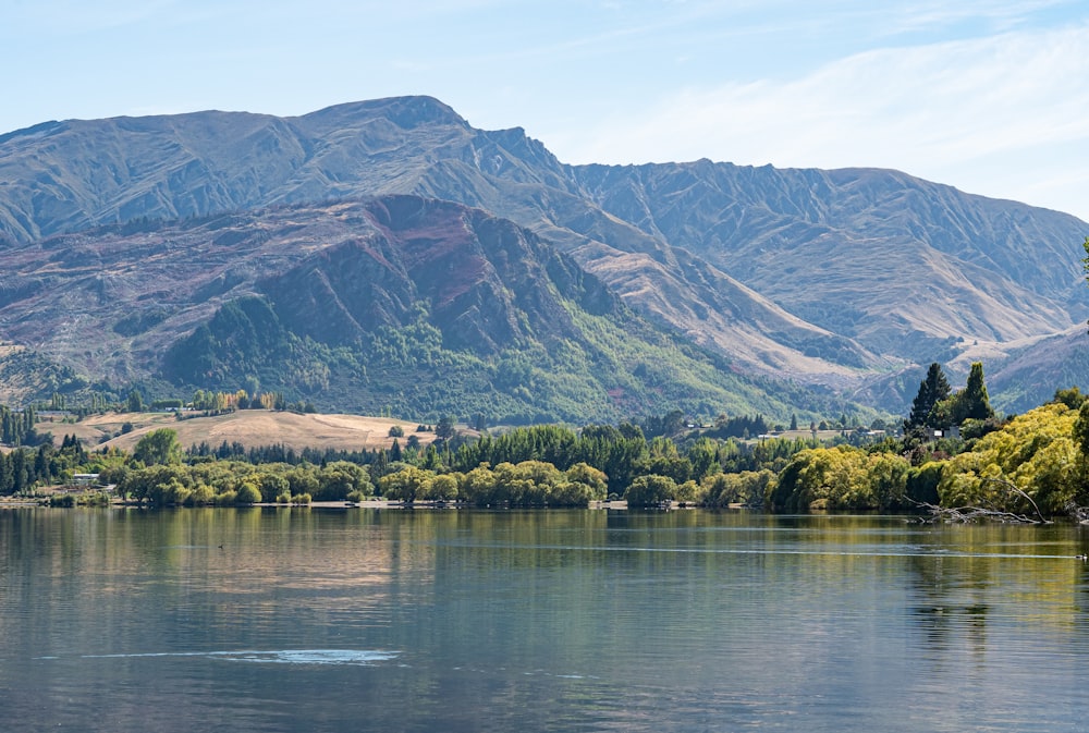 a body of water with trees and a mountain in the background