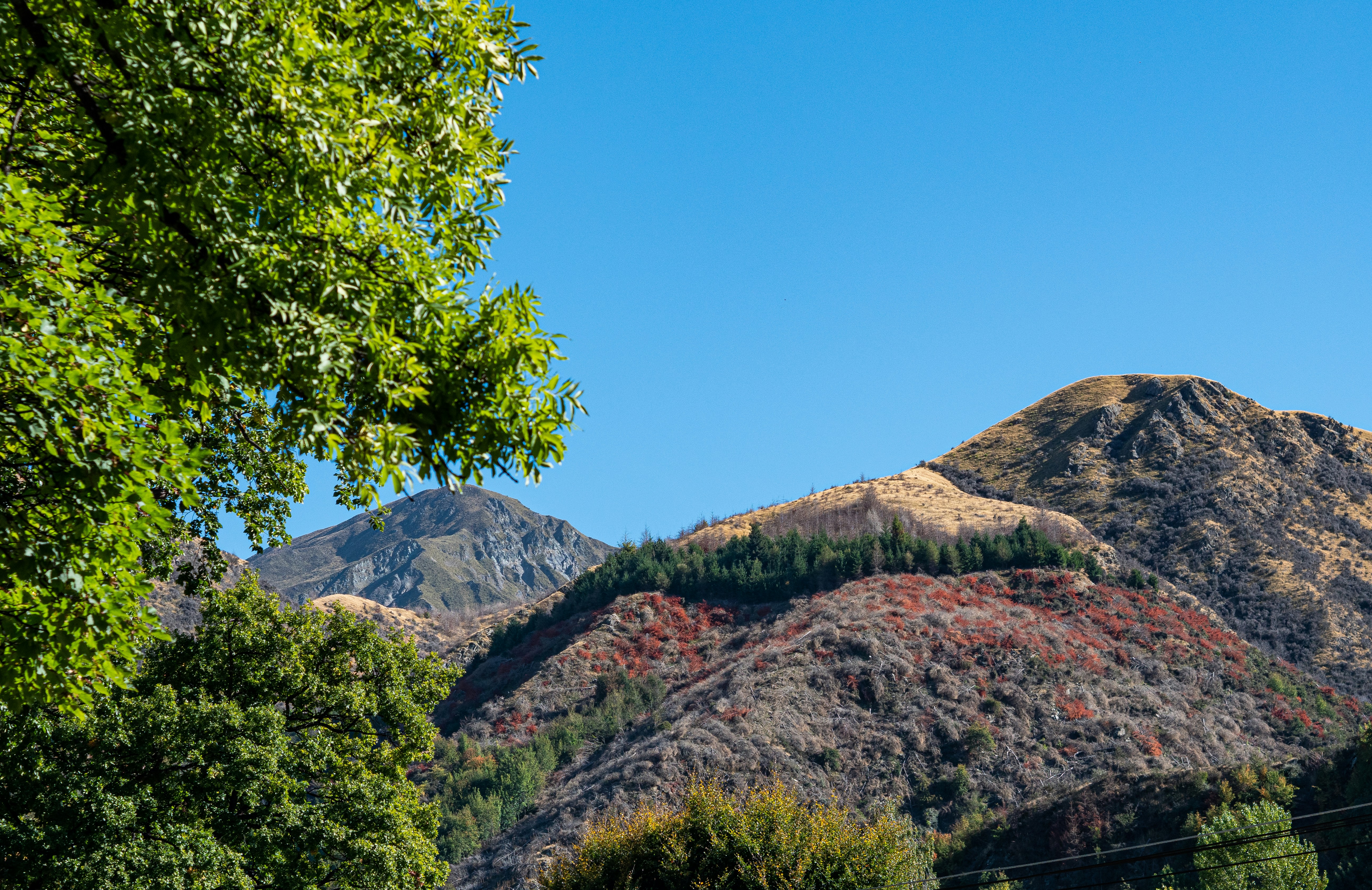 a landscape with trees and mountains, 