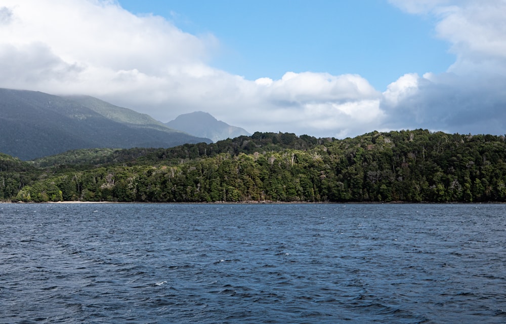 a body of water with trees and mountains in the background