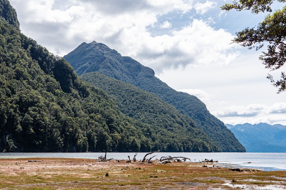 a body of water with mountains in the background