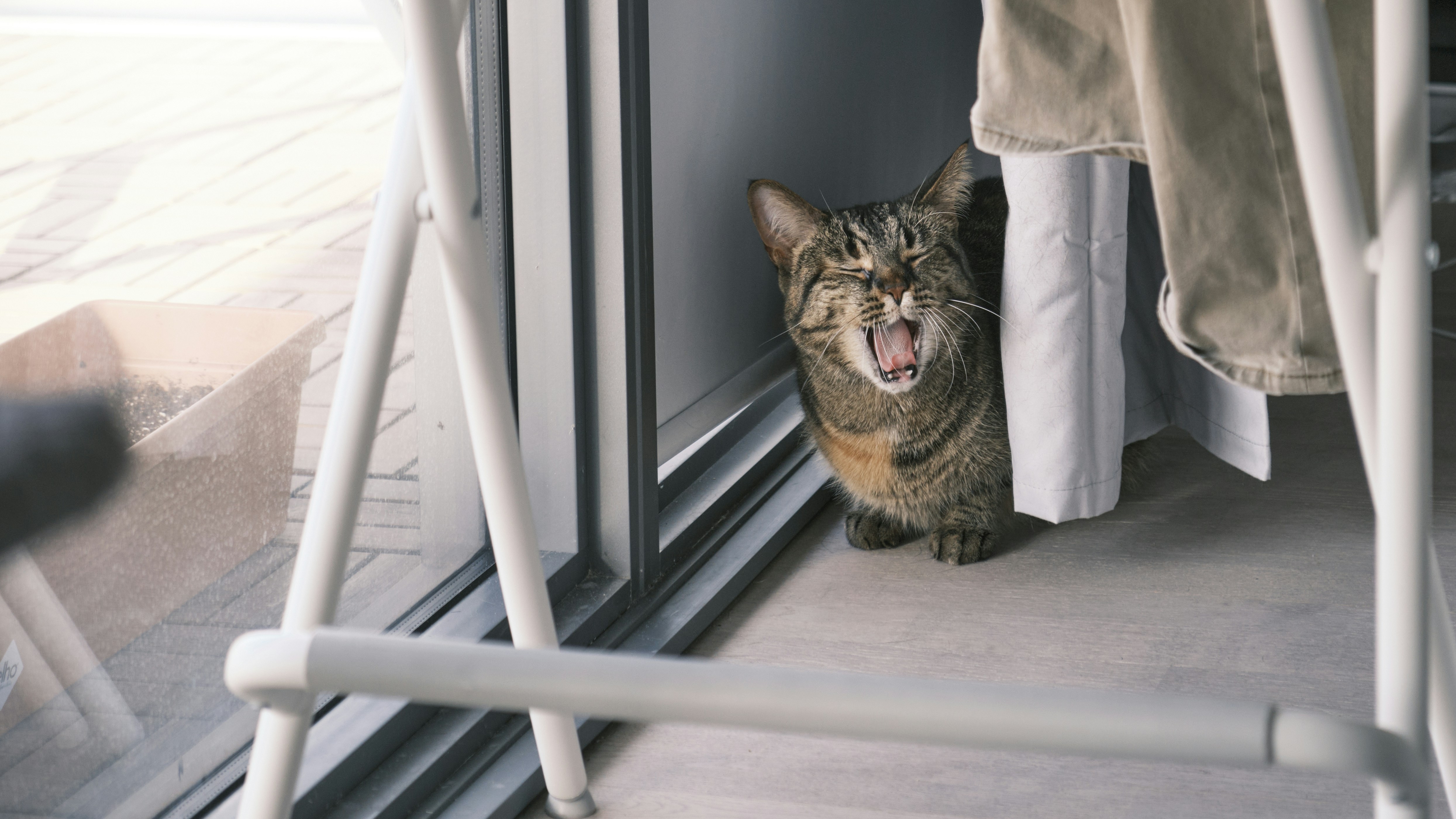 Photo by ultradrumstickman