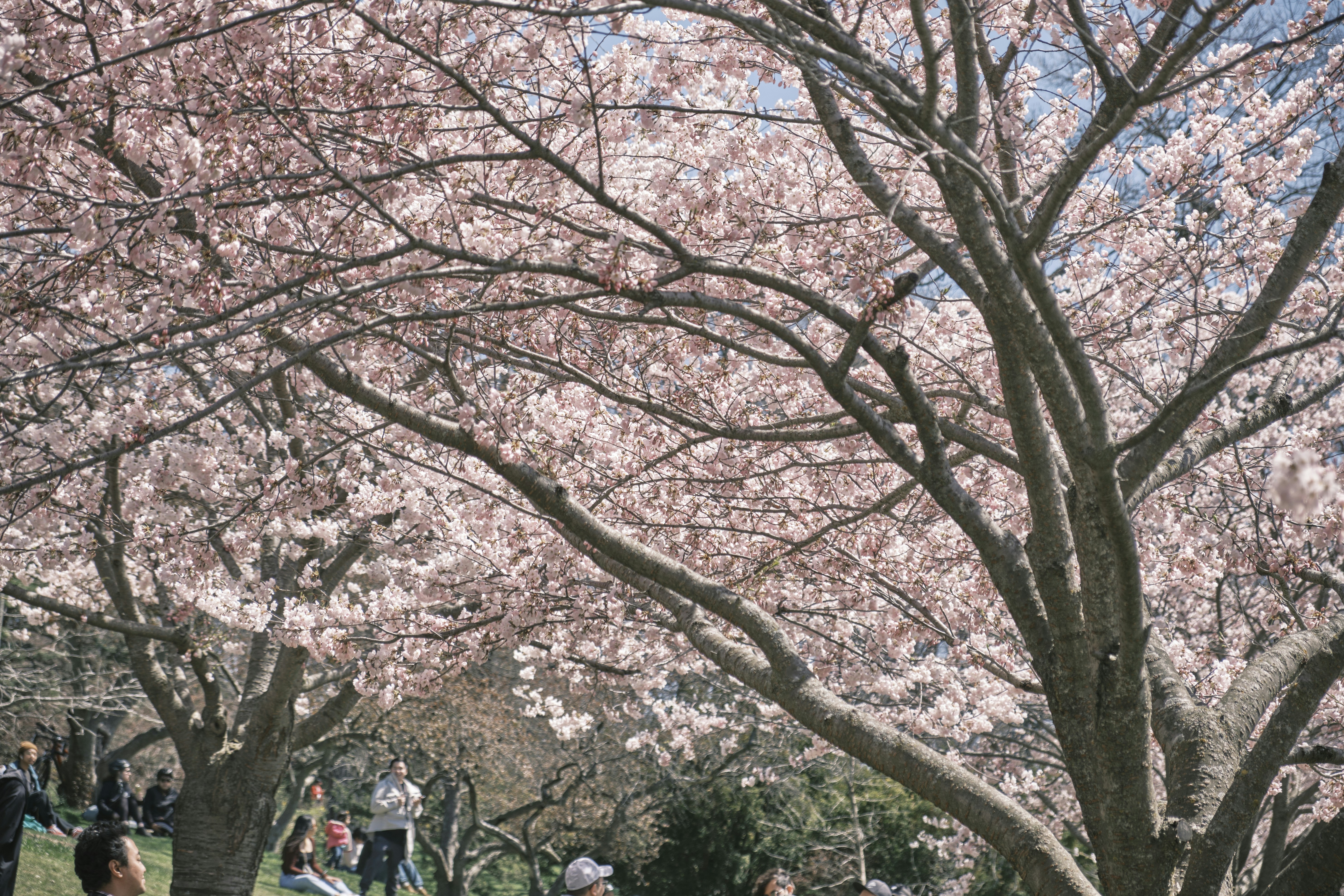 Photo by ultradrumstickman