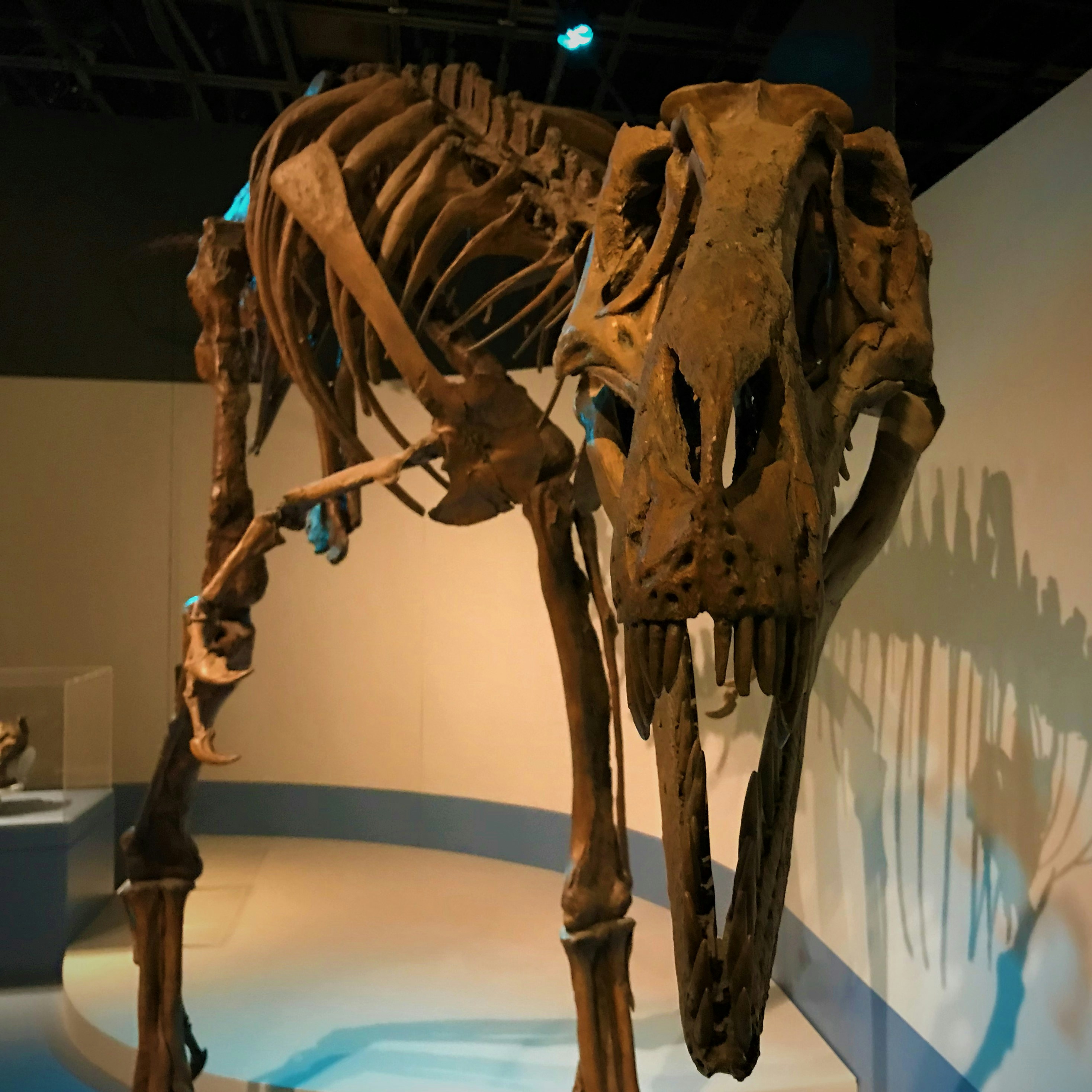 The Magnificent Megatherium: South America's Gentle Giant (image credits: unsplash)
