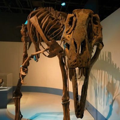 Houston Museum of Natural Science