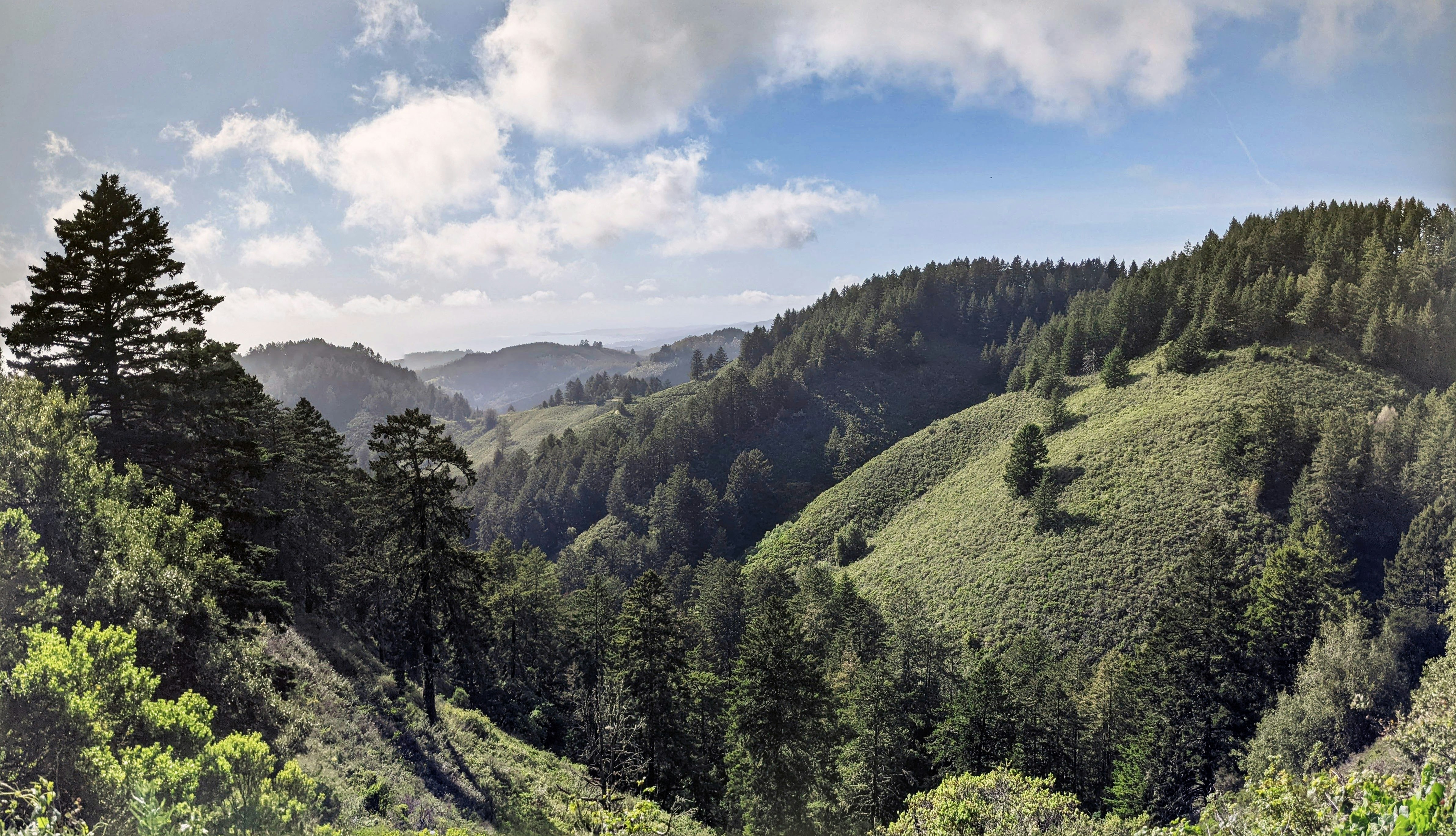 Photo by carbonscott