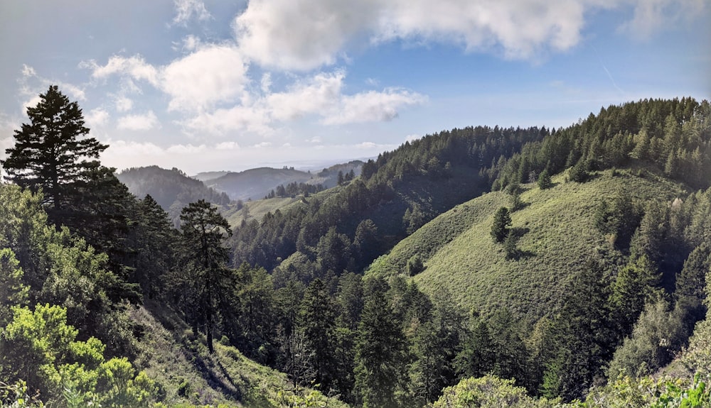 a landscape with trees and mountains