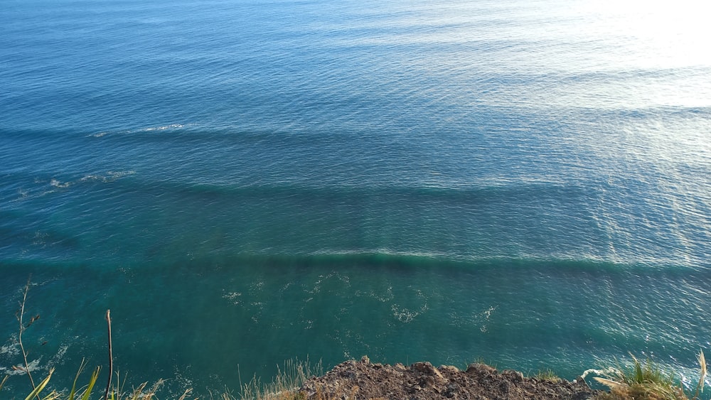 a body of water with plants and rocks around it