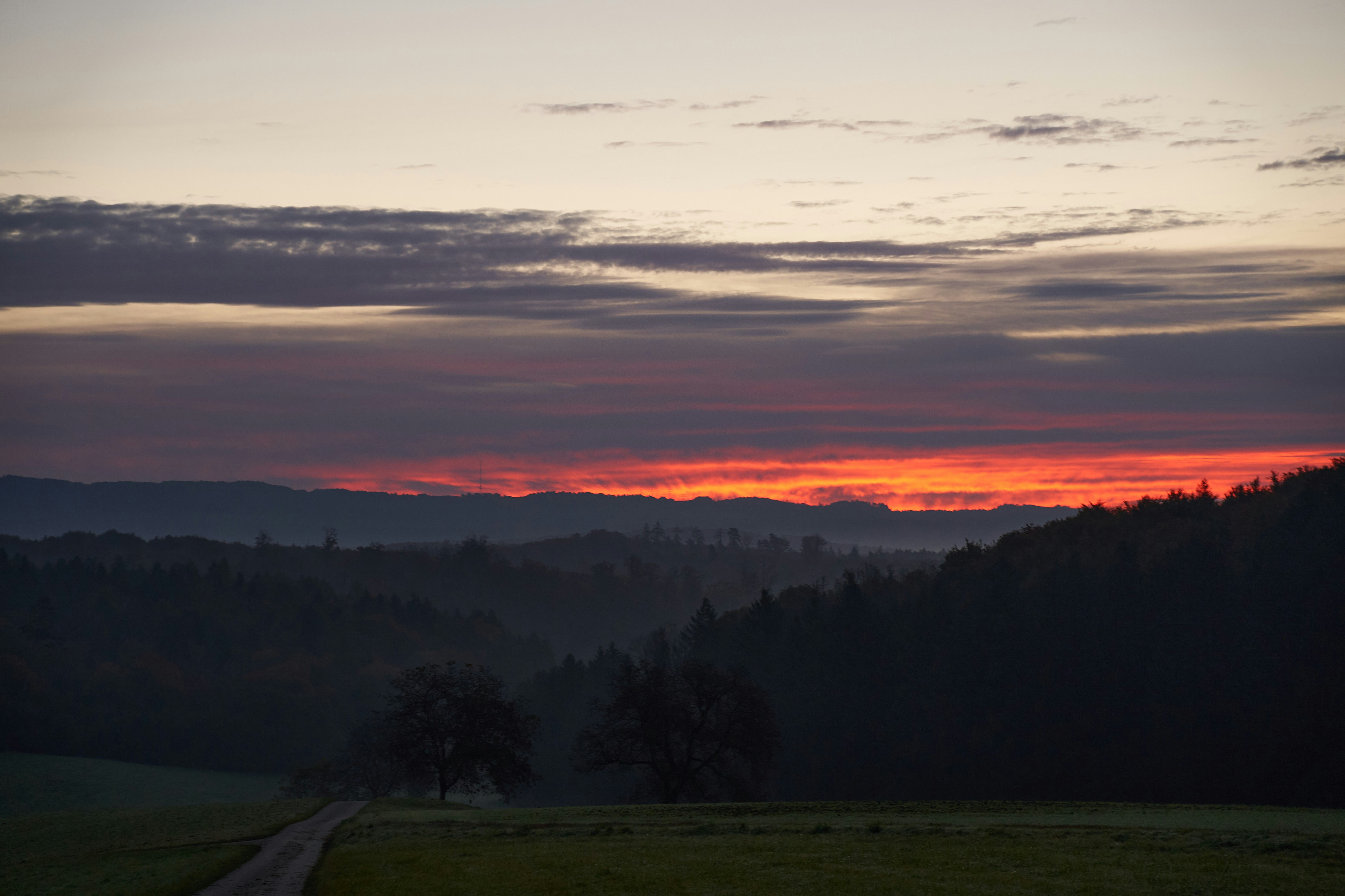 Photo by wolfgang_hasselmann