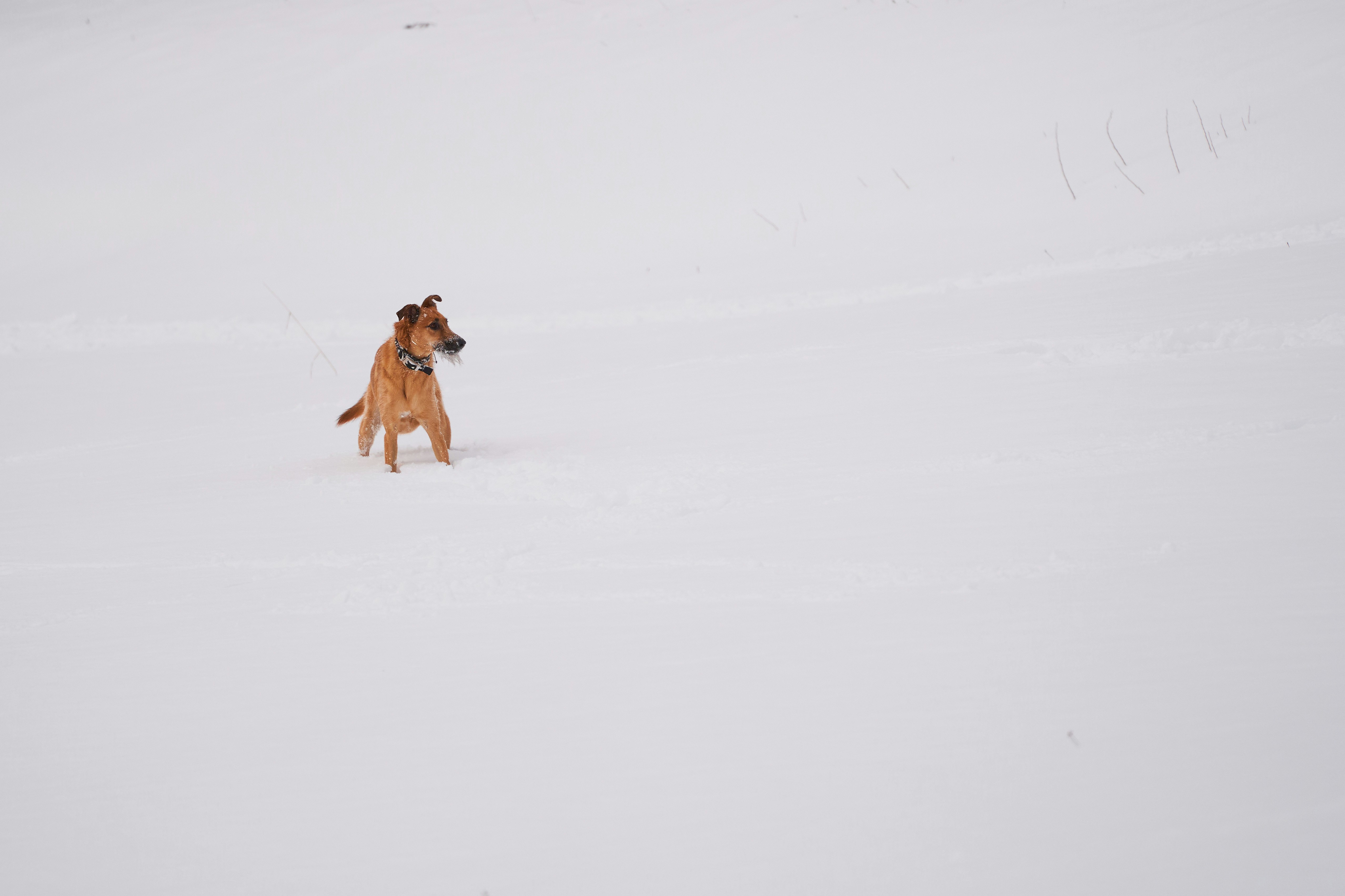 Monitor Activity to Improve Behavior