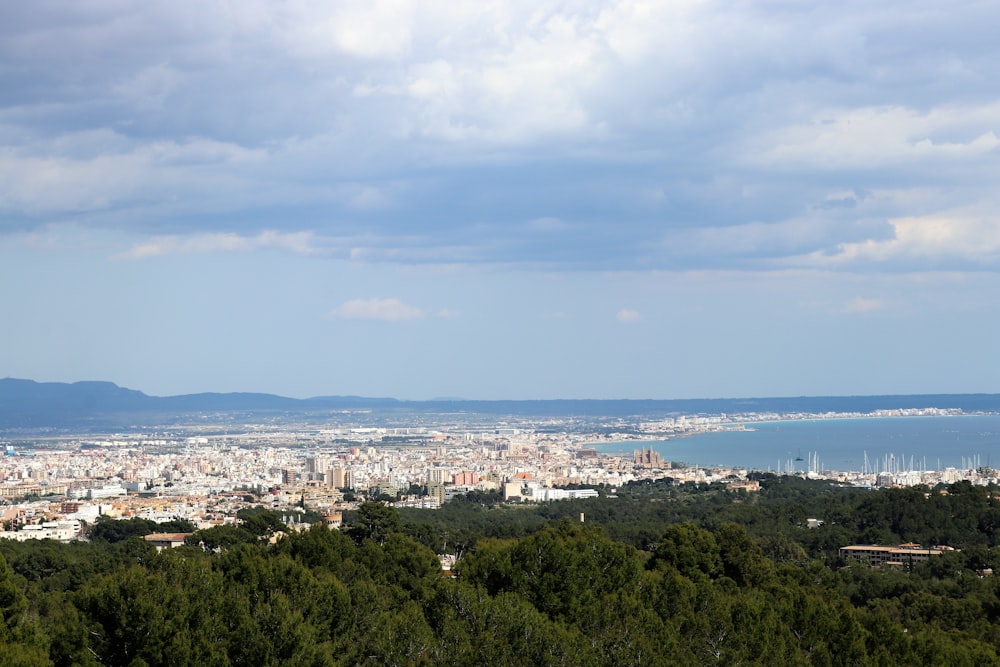 a city with trees and water in the background