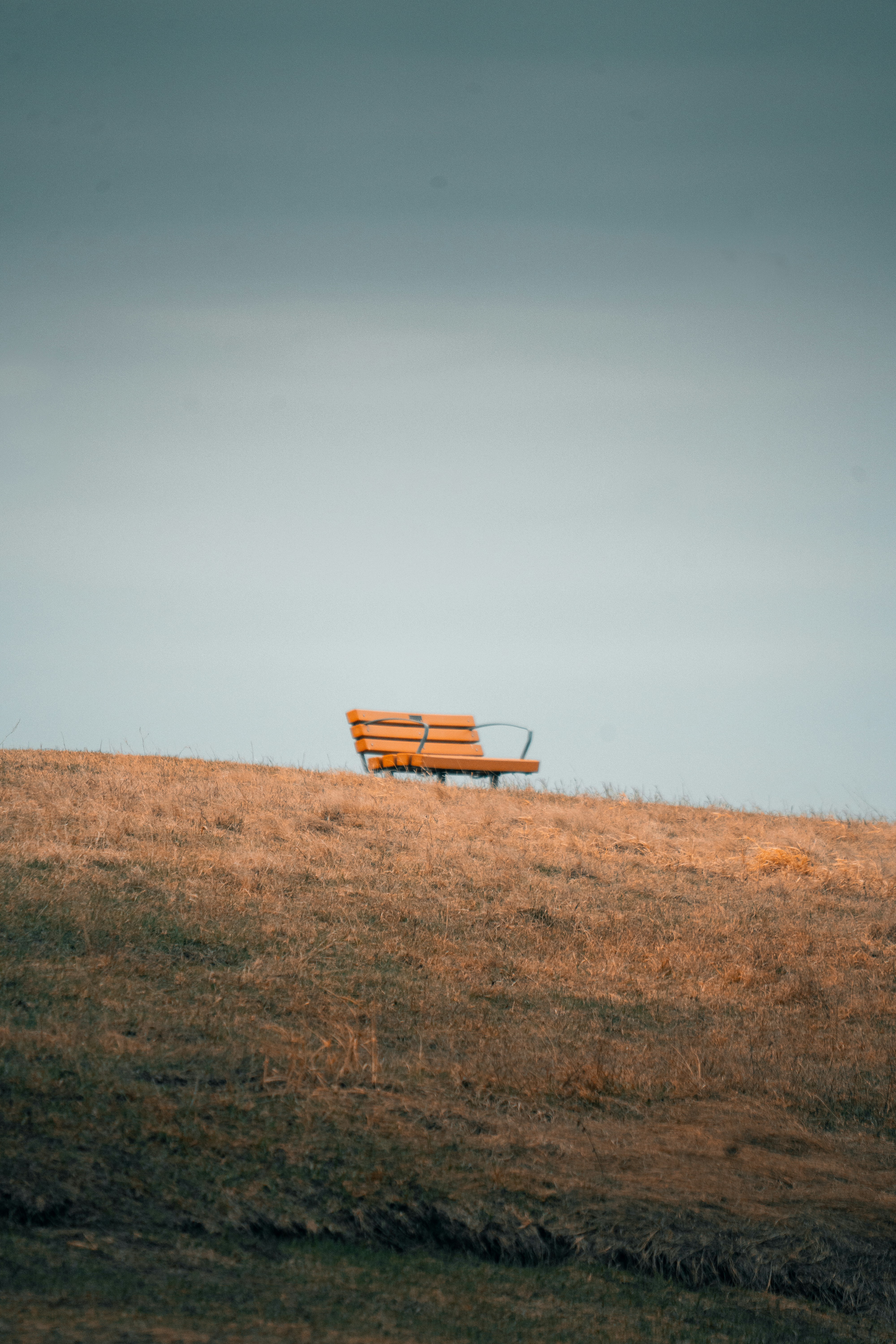 a bench sits in a field
