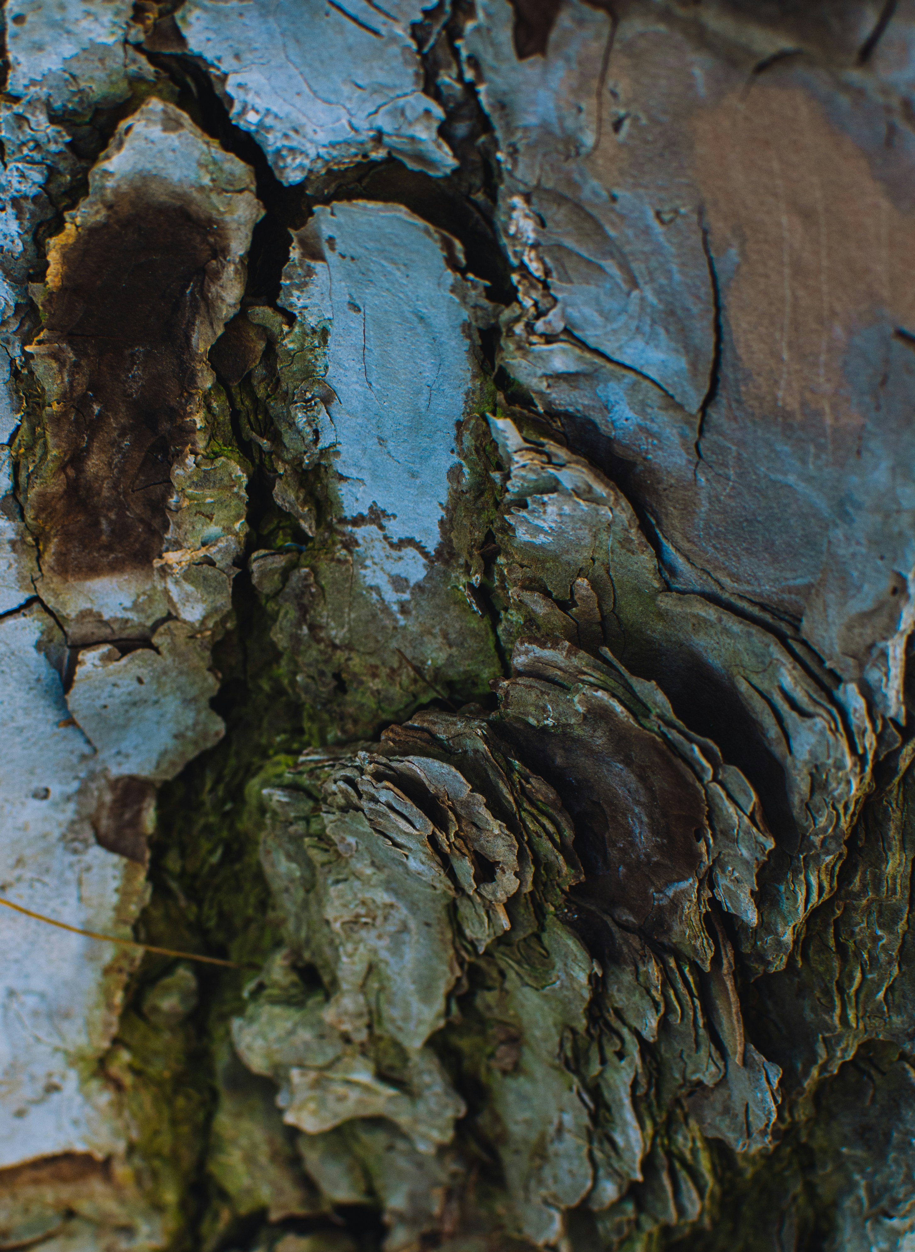 Photo by kingkonggeorge