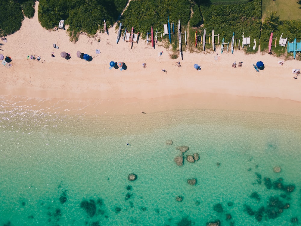 Un grupo de personas en una playa