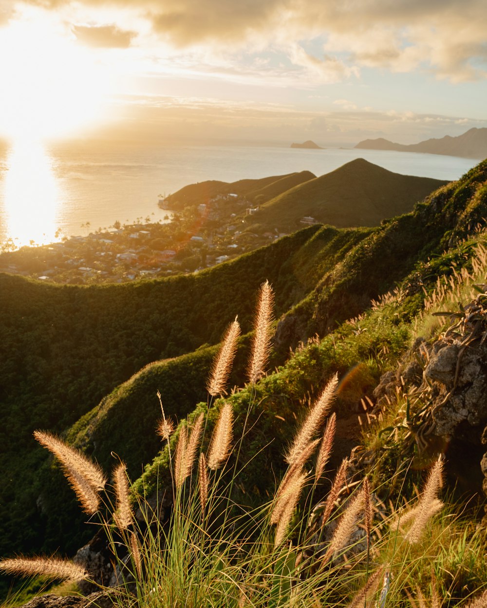 a grassy hill overlooking a body of water