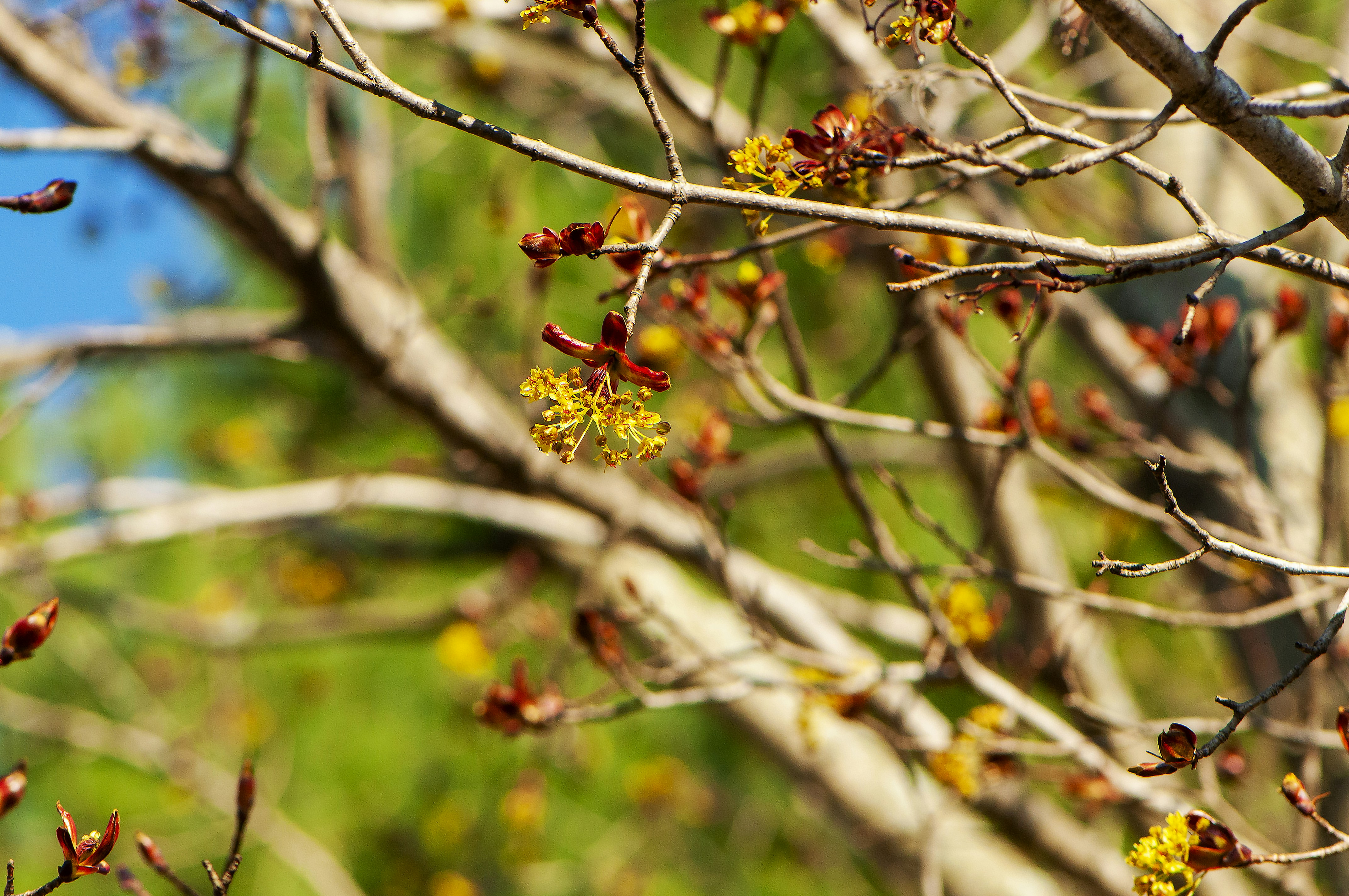 Photo by climatechangevi