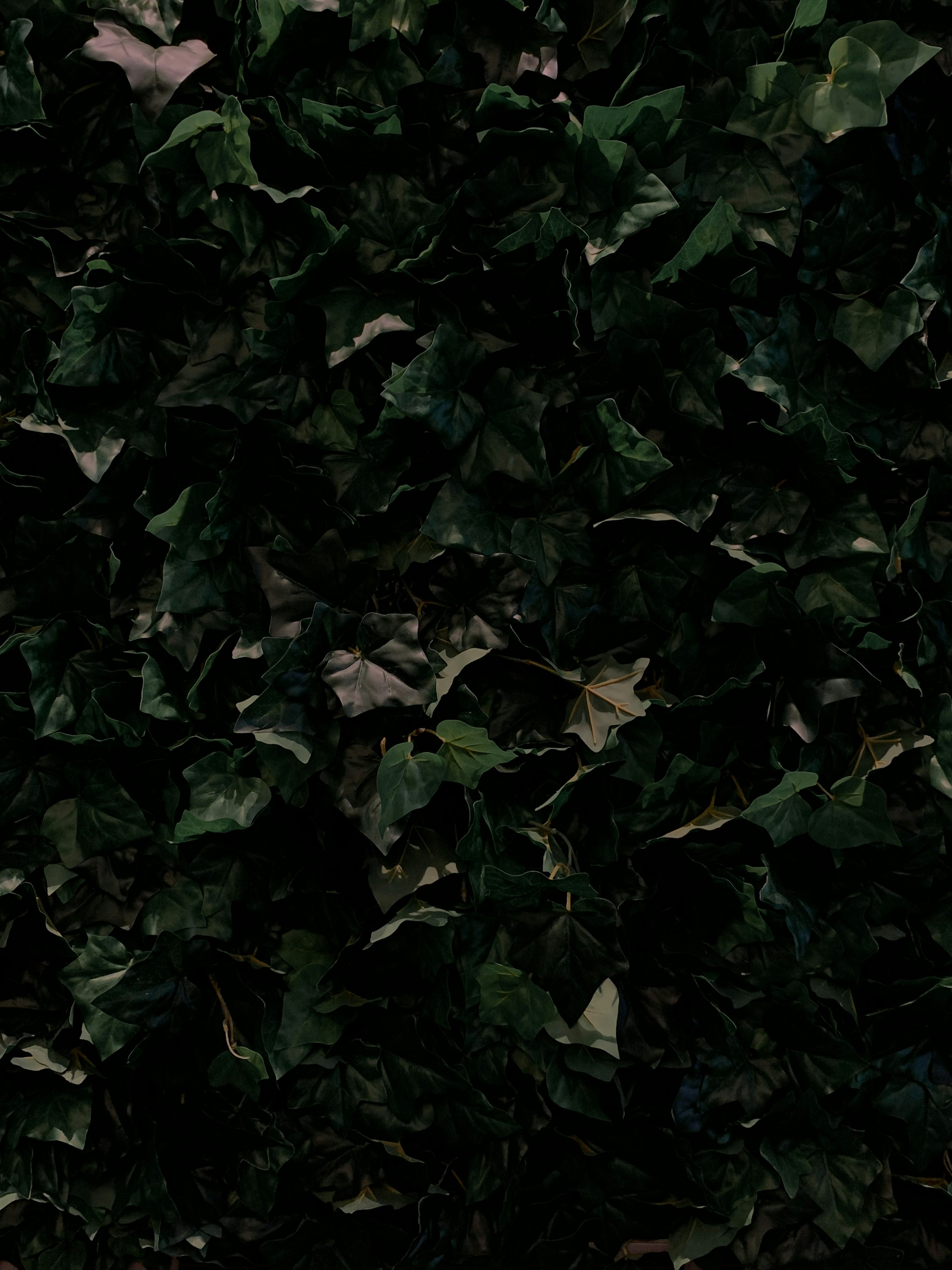 Photo by sero_barseghyan