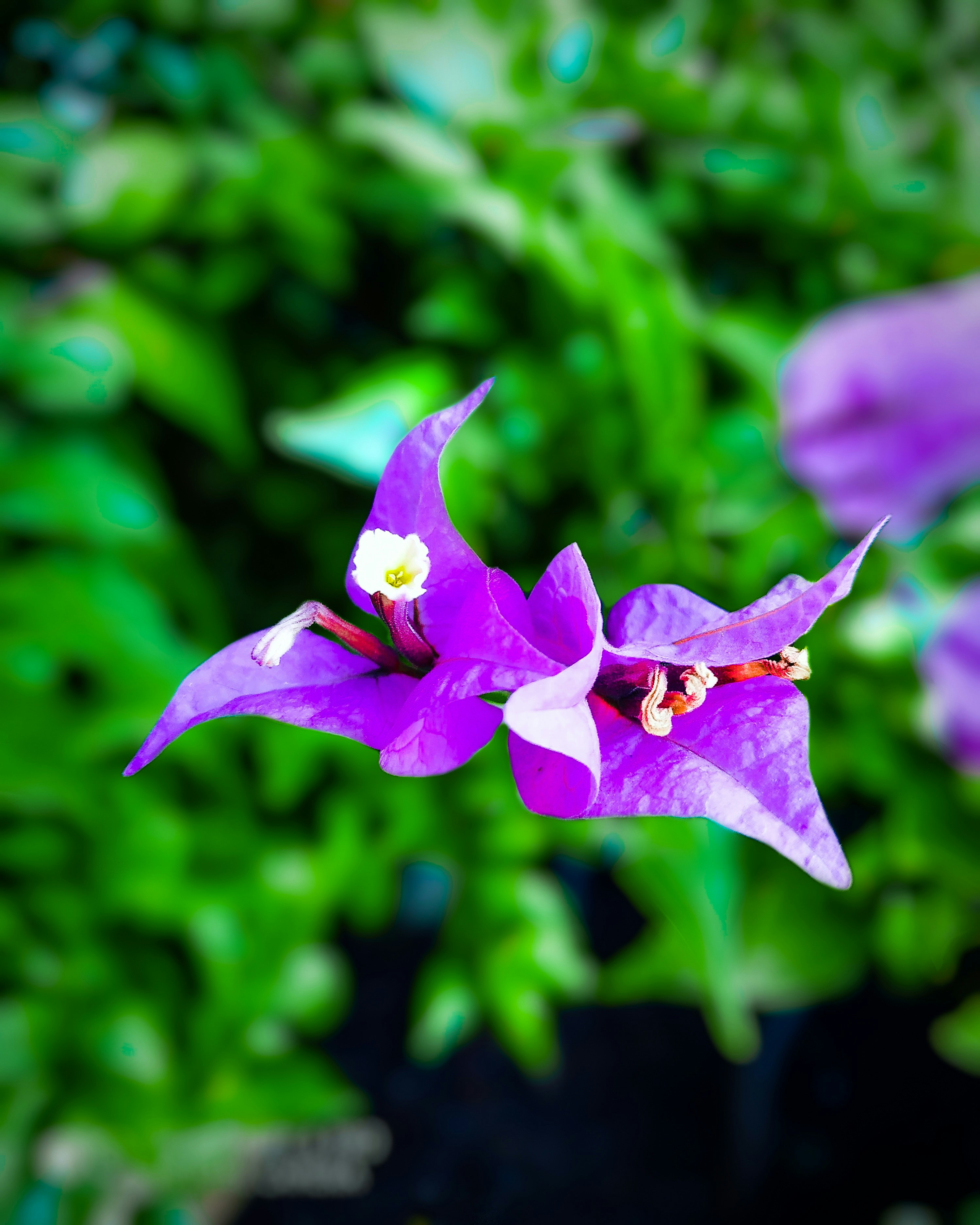 Photo by iam_shreyas