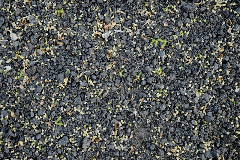 Spent grain: from brewery byproduct to regenerative fertilizer.