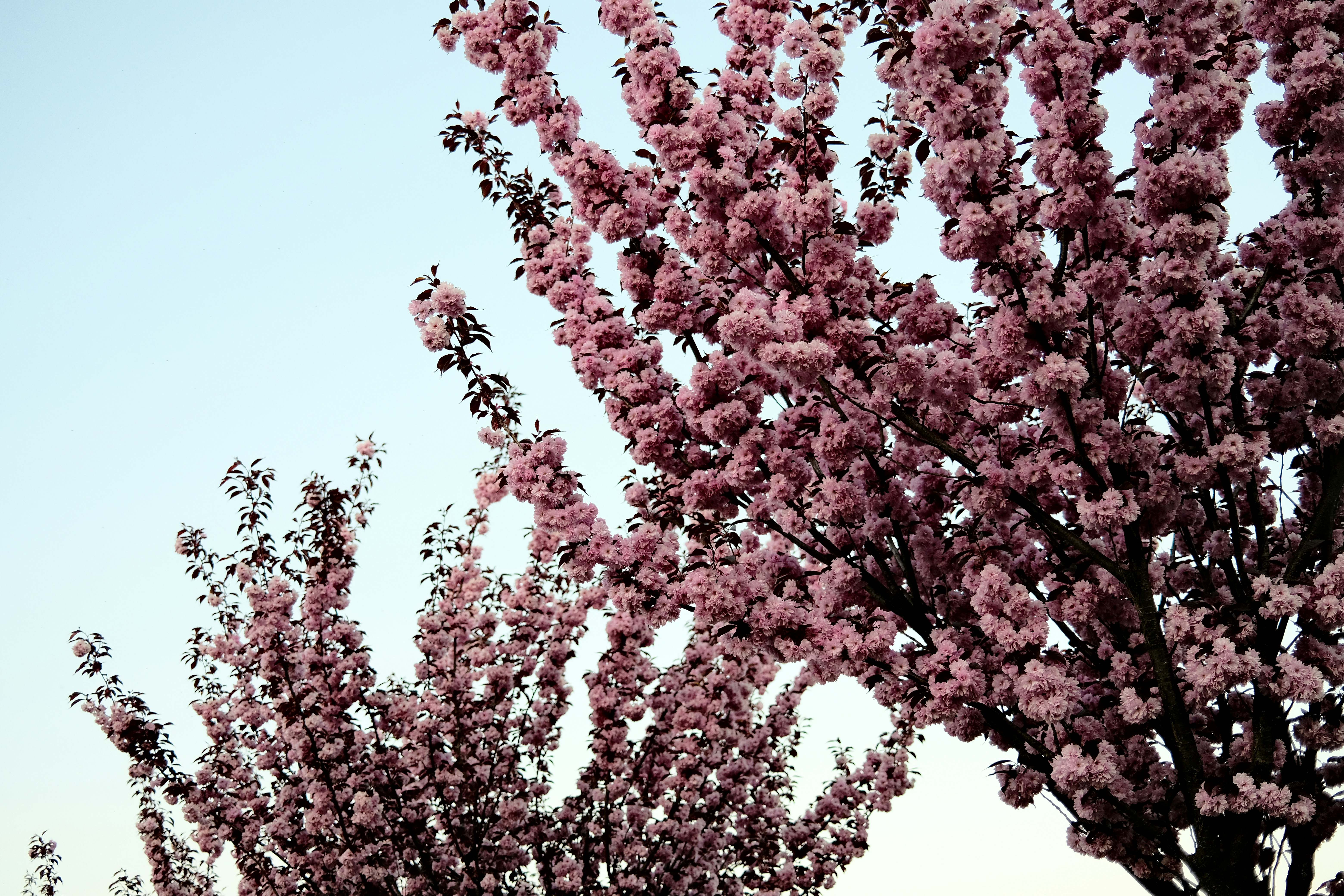 Photo by egorkomarov