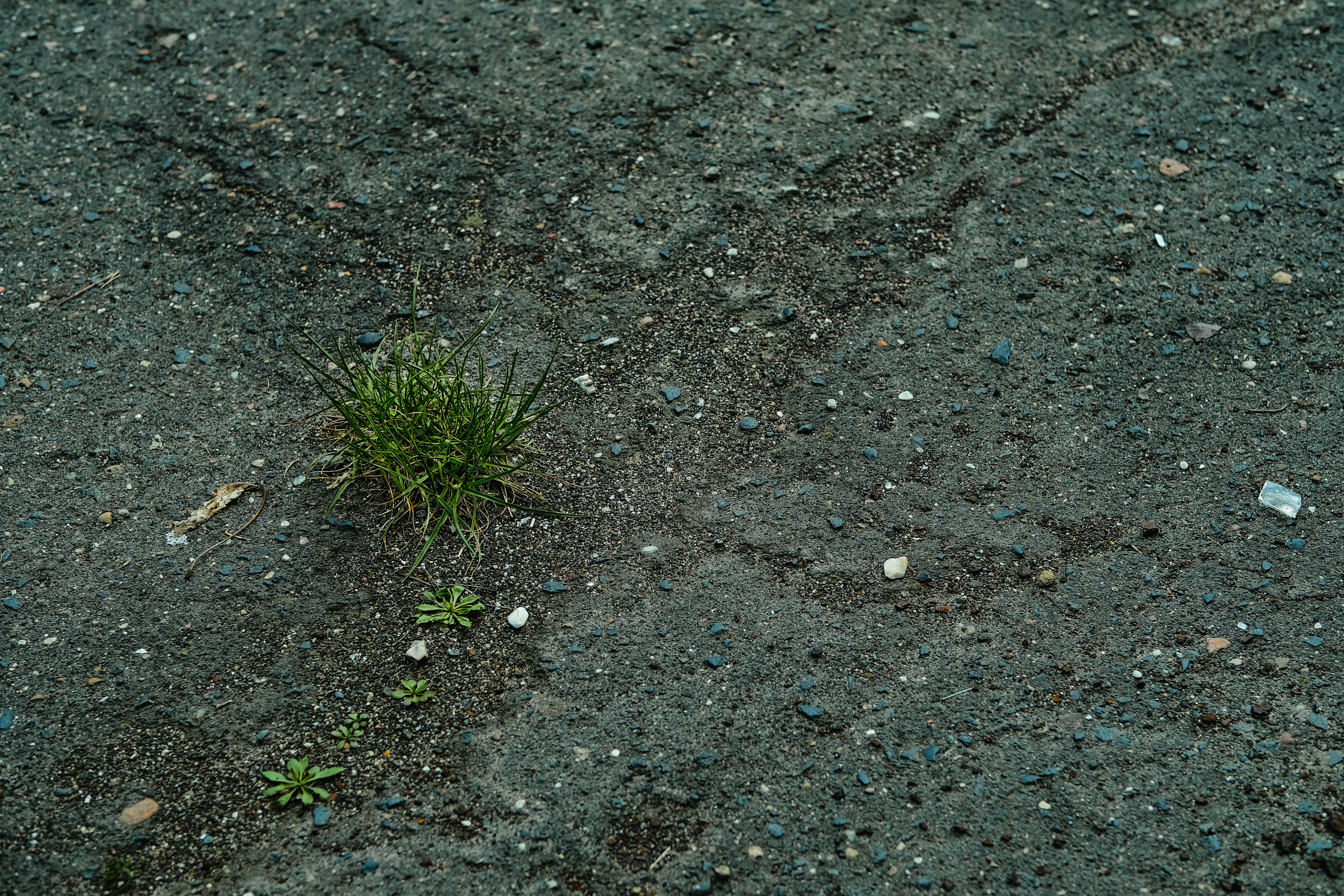 Edge Gateways and CubeSat Data Pipelines: What Small Satellite Teams Must Prioritize in 2026