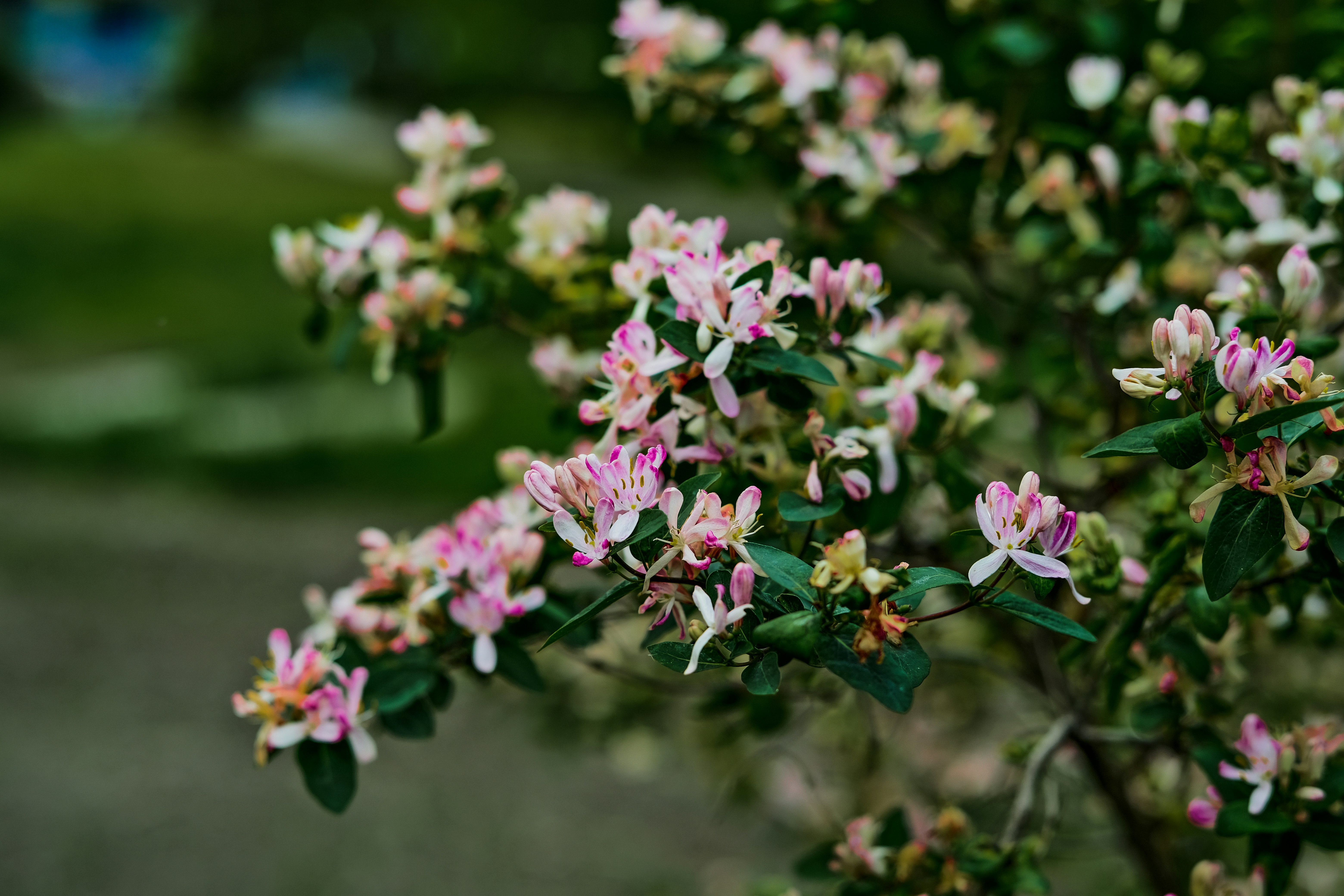 Photo by egorkomarov